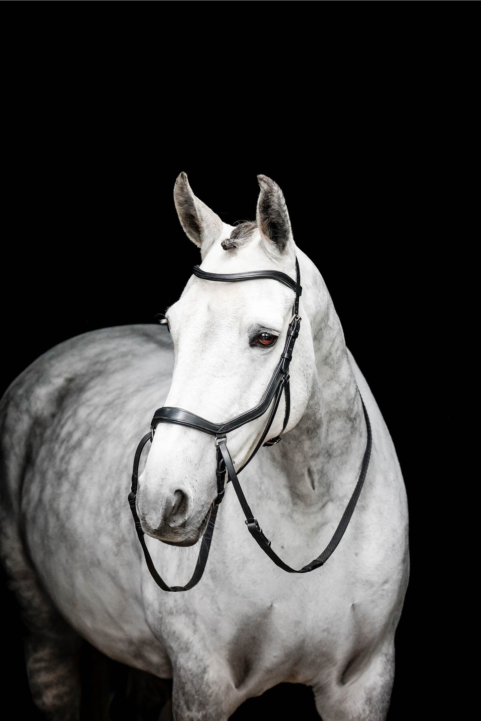 Horseware Micklem bettlöst träns Träns & Tyglar