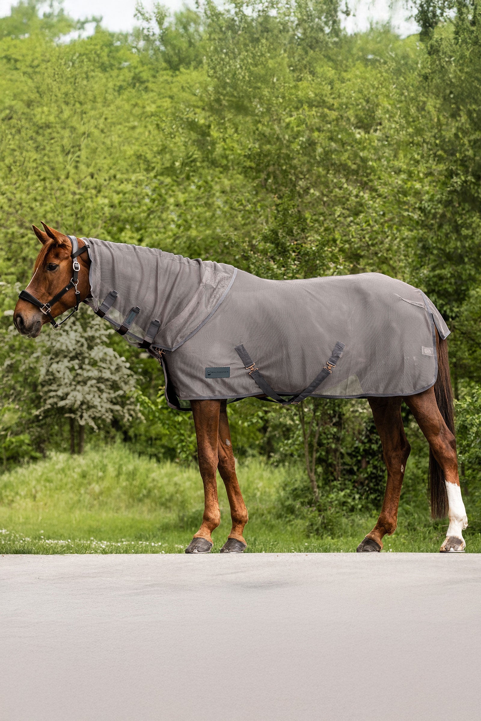 Waldhausen Comfort Fly Neck Cover Horse Rugs