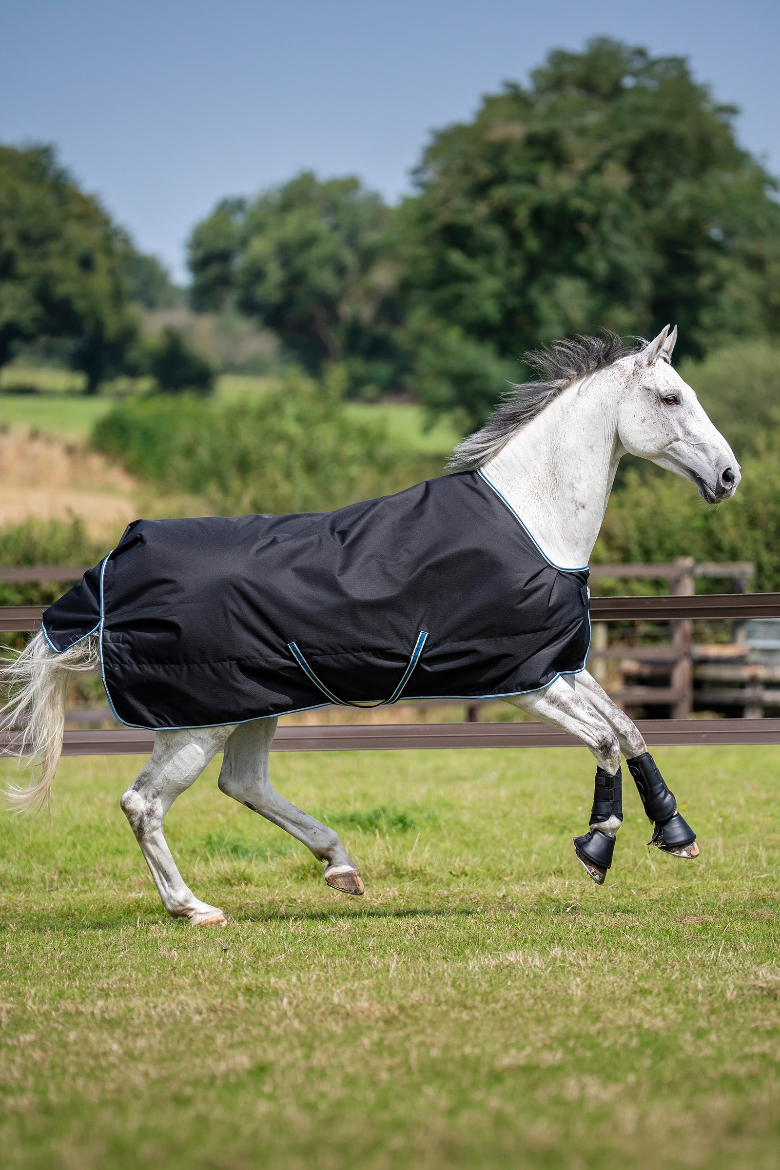 Bucas Anniversary Light SD Turnout Rug, 150g Horse Rugs