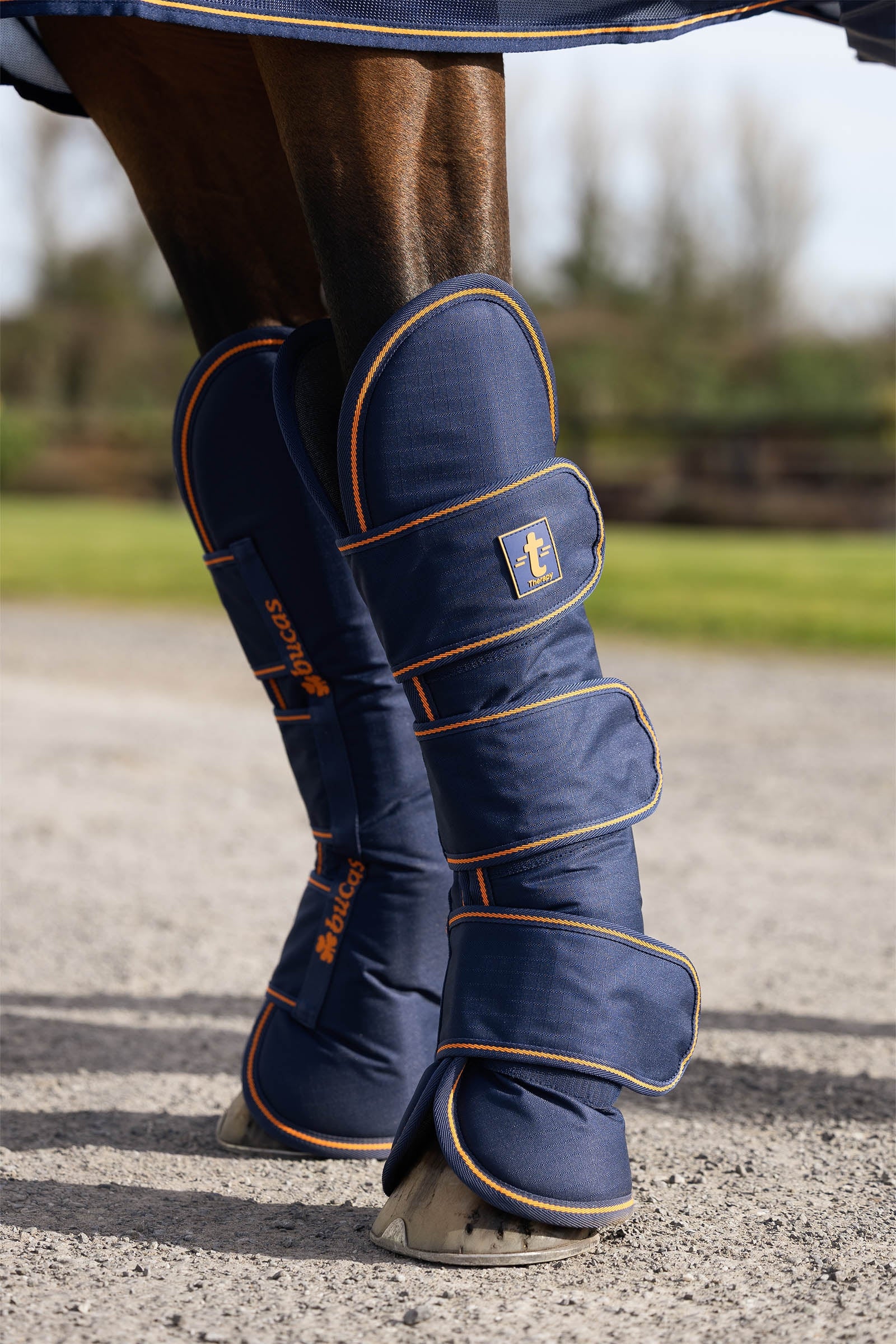 Bucas Therapy Resestövlar (Set om 4) Leg & Hoof Protection