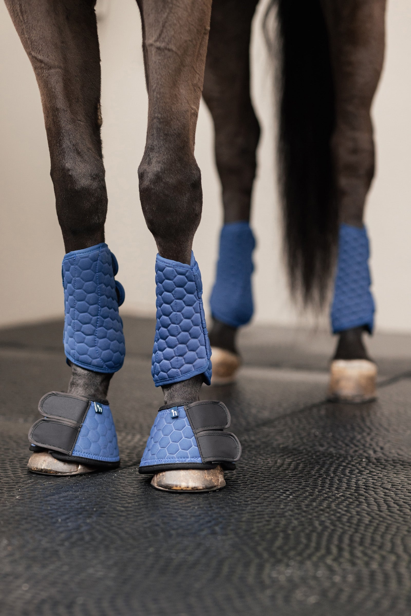 Horze Urban Vitality Bell Boots Leg Protection & Hoof Protection for Horses