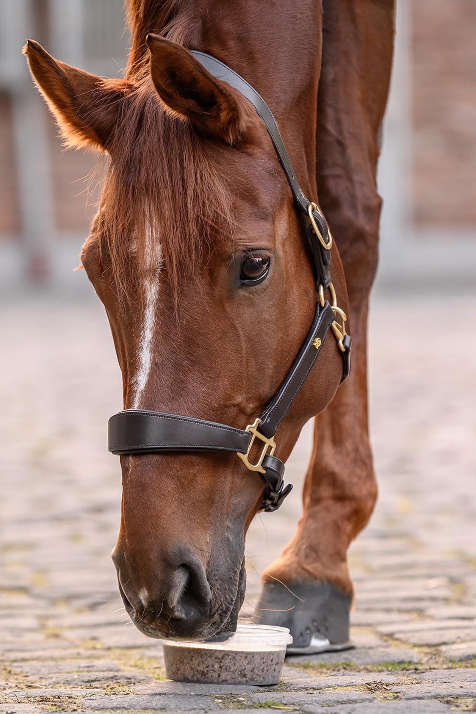 Lifestyle shot 2