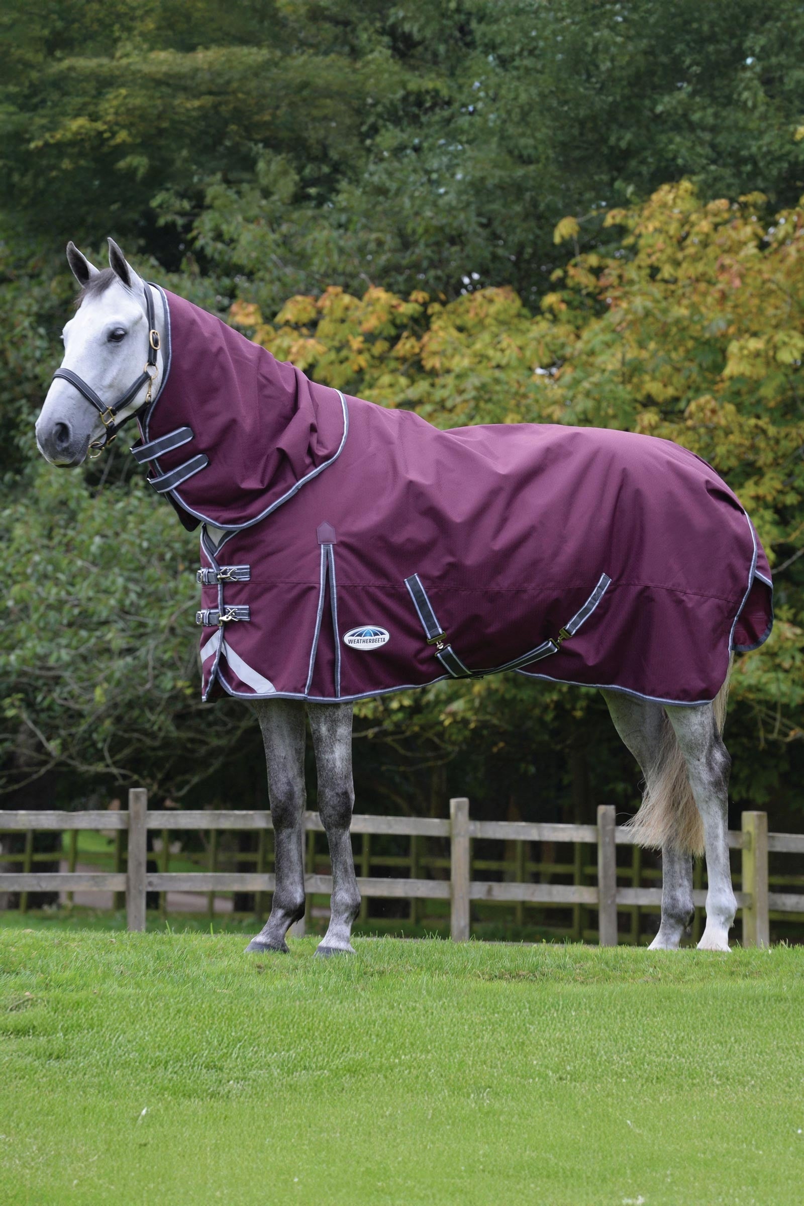 Weatherbeeta Comfitec Plus Dynamic II Turnout Rug With Detachable Neck, 220g Horse Rugs