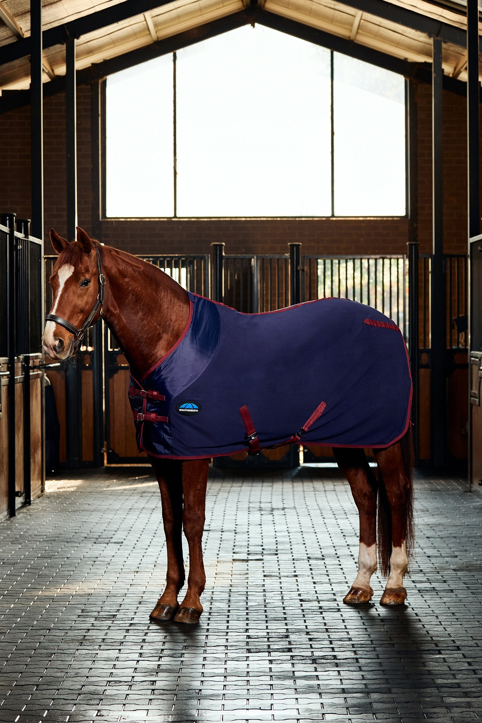 Weatherbeeta Anti-Sta Tic Fleece Cooler Rug Standard Neck Hästtäcken