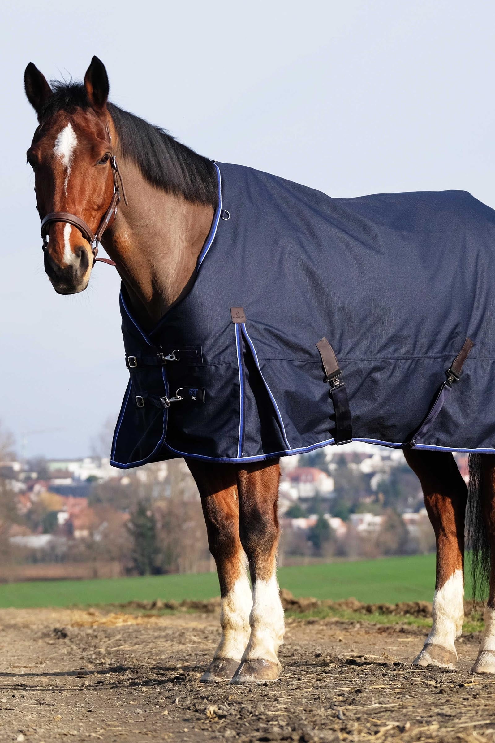 Equi Theme EQUITHÈME Classic 1200D Turnout Rug, 100 g Horse Rugs