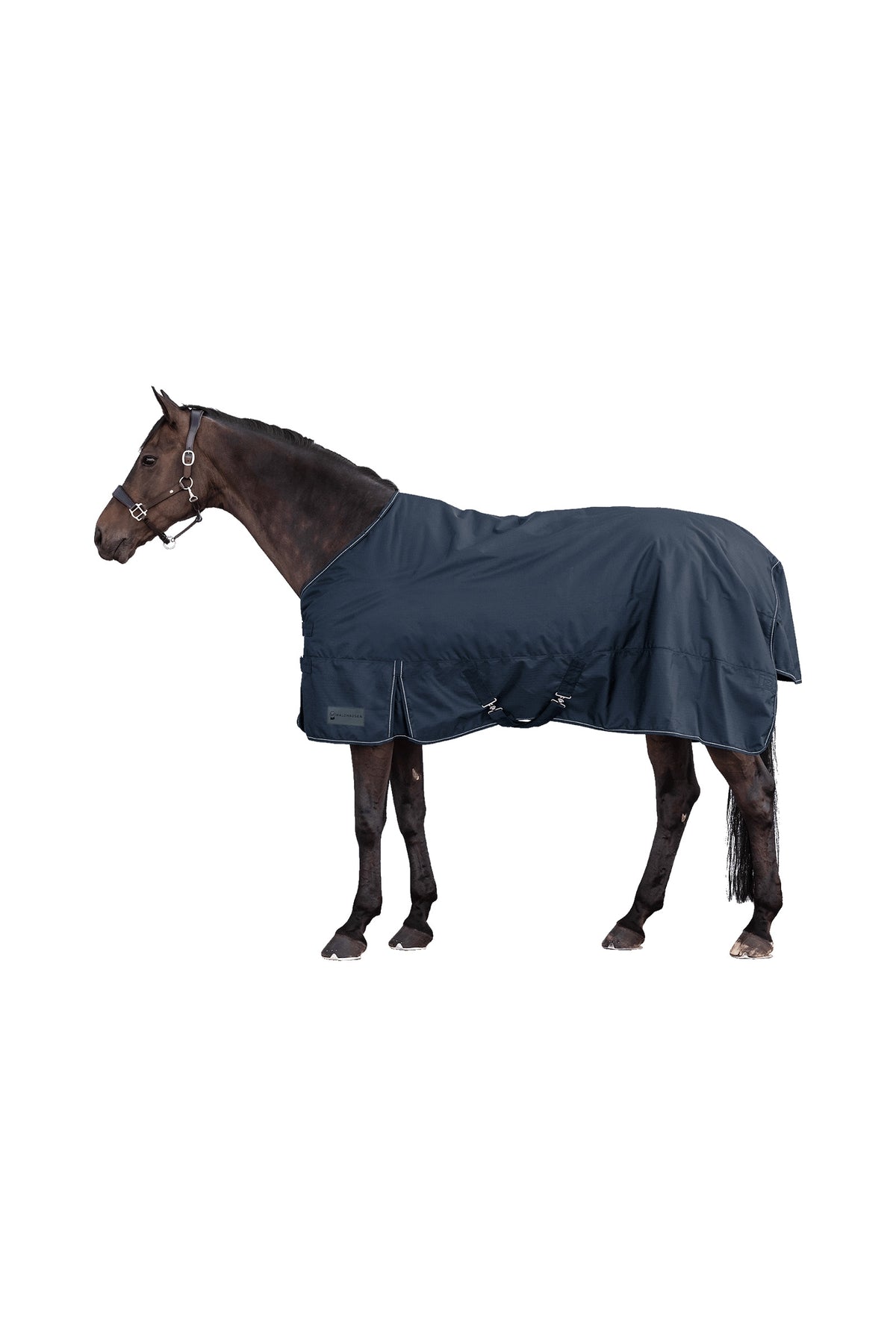 Waldhausen NORDIC 600D Light Utetäcke Hästtäcken