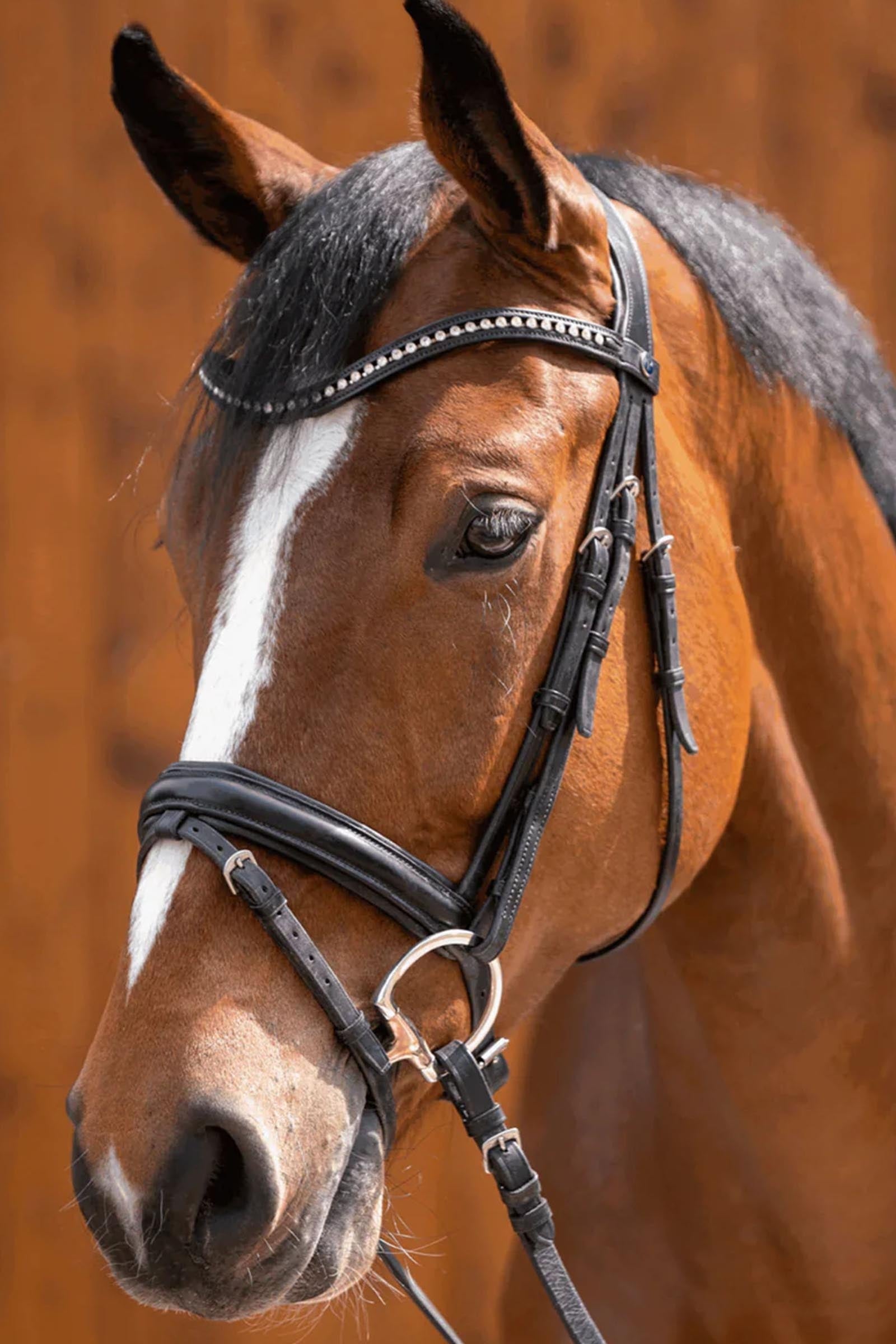 Sprenger Novocontact Eggbutt Bit D-Rings, Double Jt. 14mm, Sensogan Horse Bits