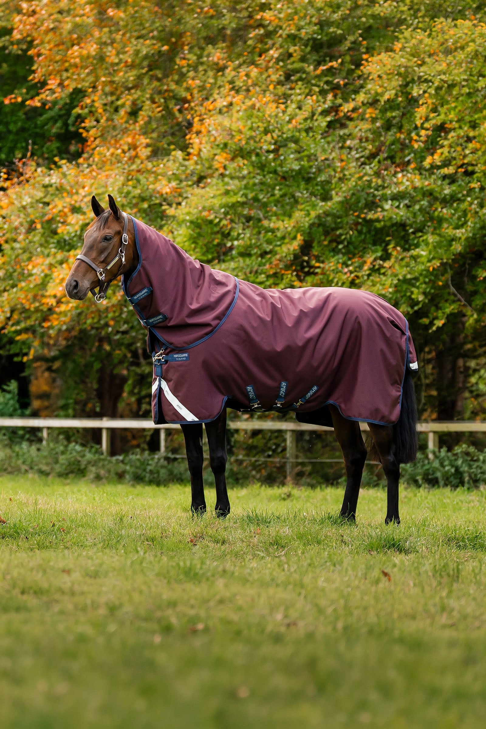 Horseware Amigo Bravo 12 Plus Turnout Rug With Detachable Neck, 0g Horse Rugs