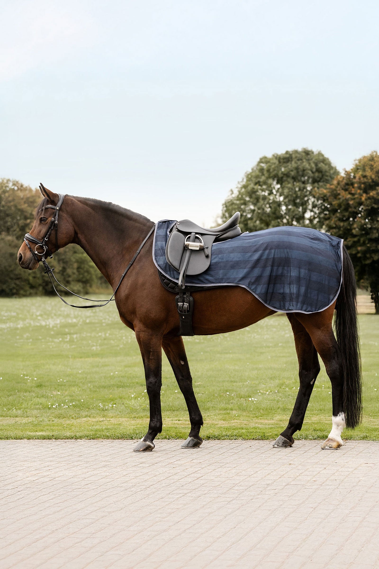 Waldhausen Economic ridflugtäcke Hästtäcken