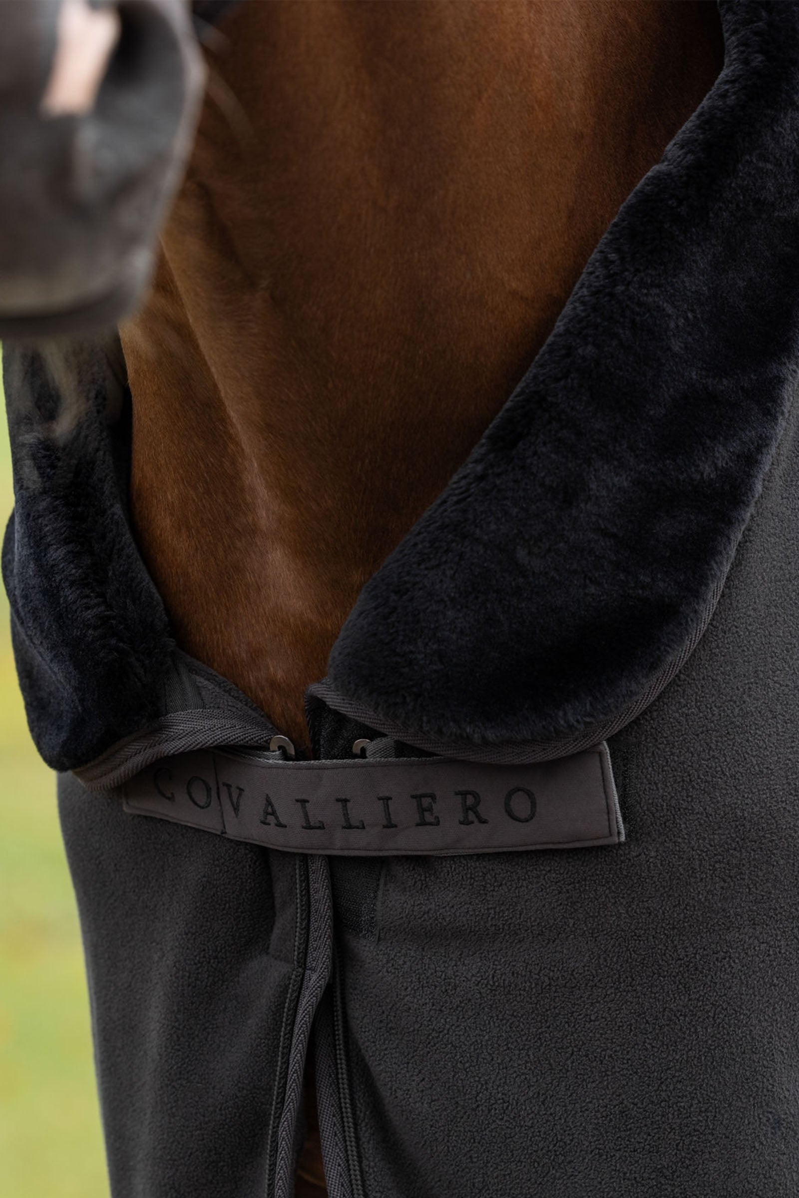 Covalliero Anniversary Cooler Rug Horse Rugs