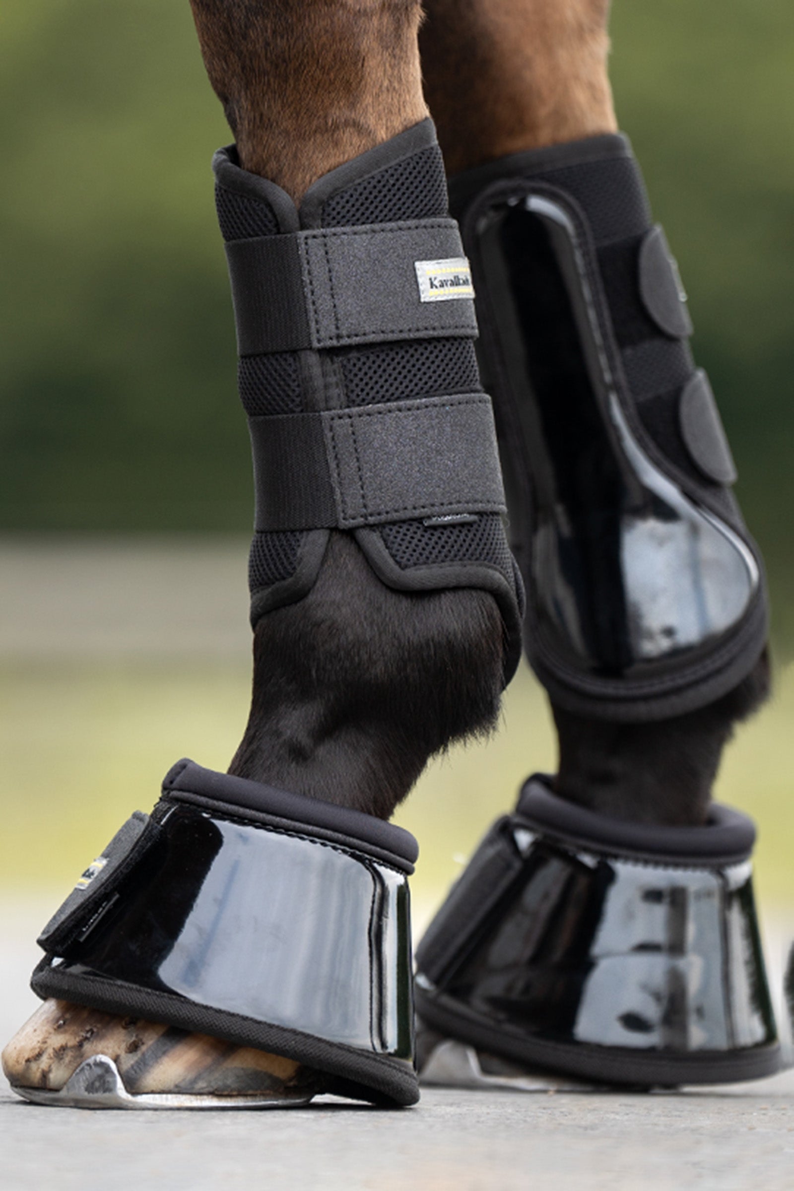 Kavalkade Anatomic Star Mesh Brushing Boots (1Pair) Leg Protection & Hoof Protection for Horses
