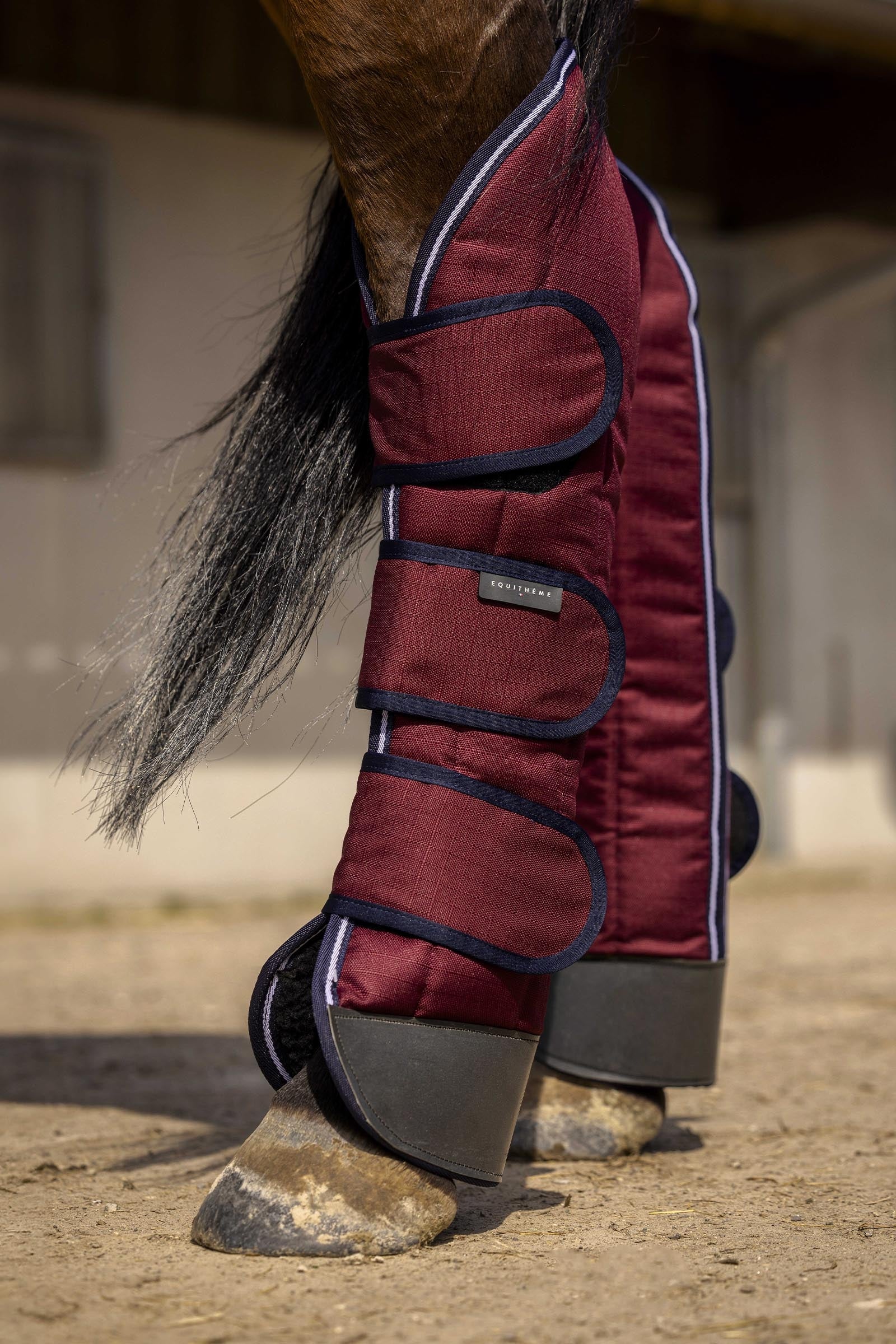 Equi Theme EQUITHÈME TYREX 1200D förstärkta transportskydd Leg & Hoof Protection