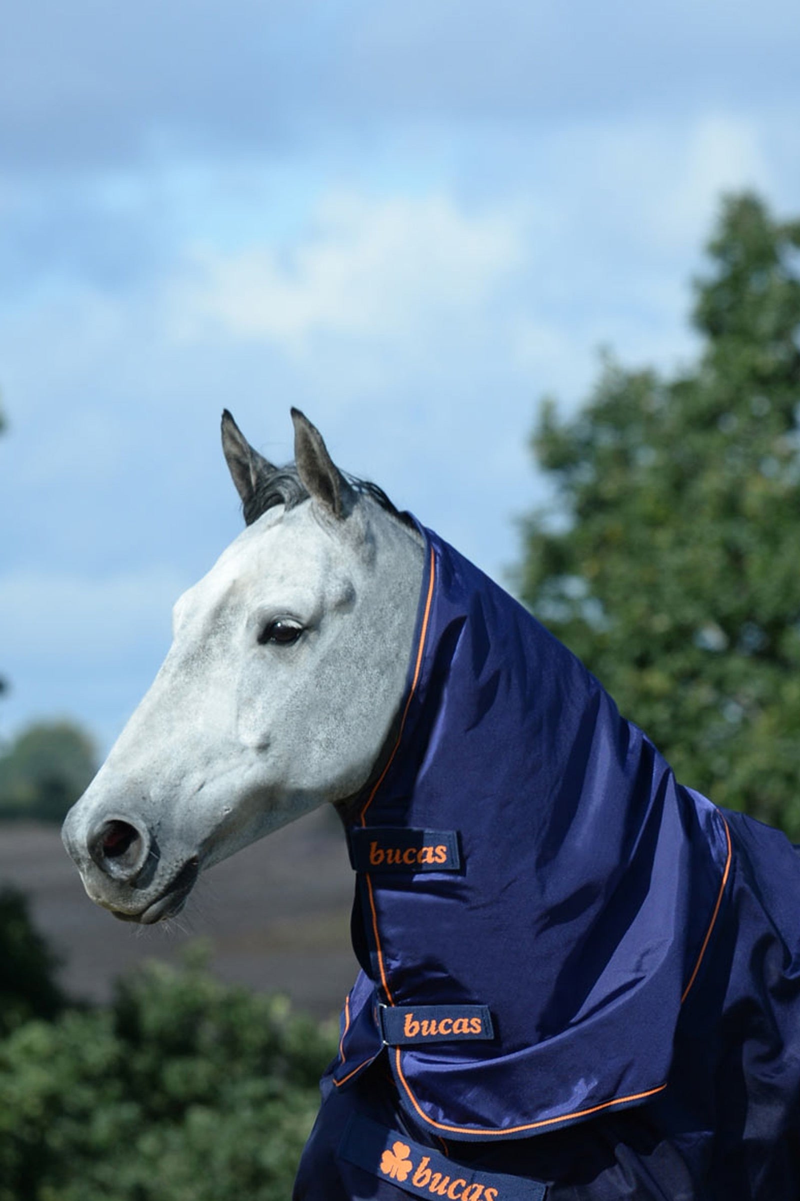 Bucas Therapy Turnout Neck Horse Rugs
