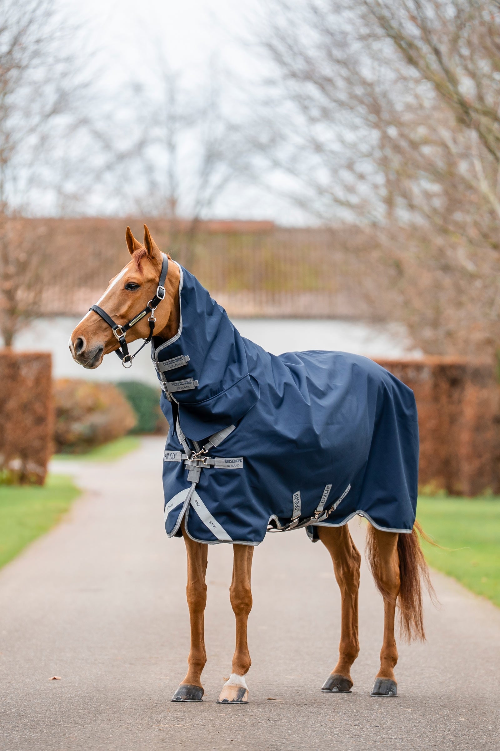 Horseware Amigo 1200D Integrated Turnout 250g Horse Rugs