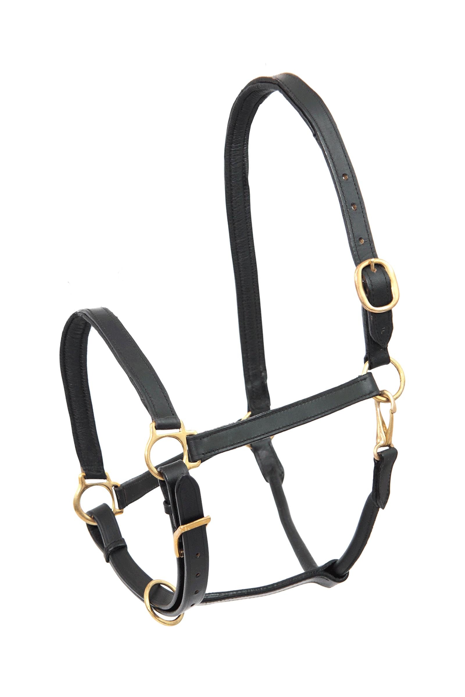 Star Robus Leather Halter Halters & Leads