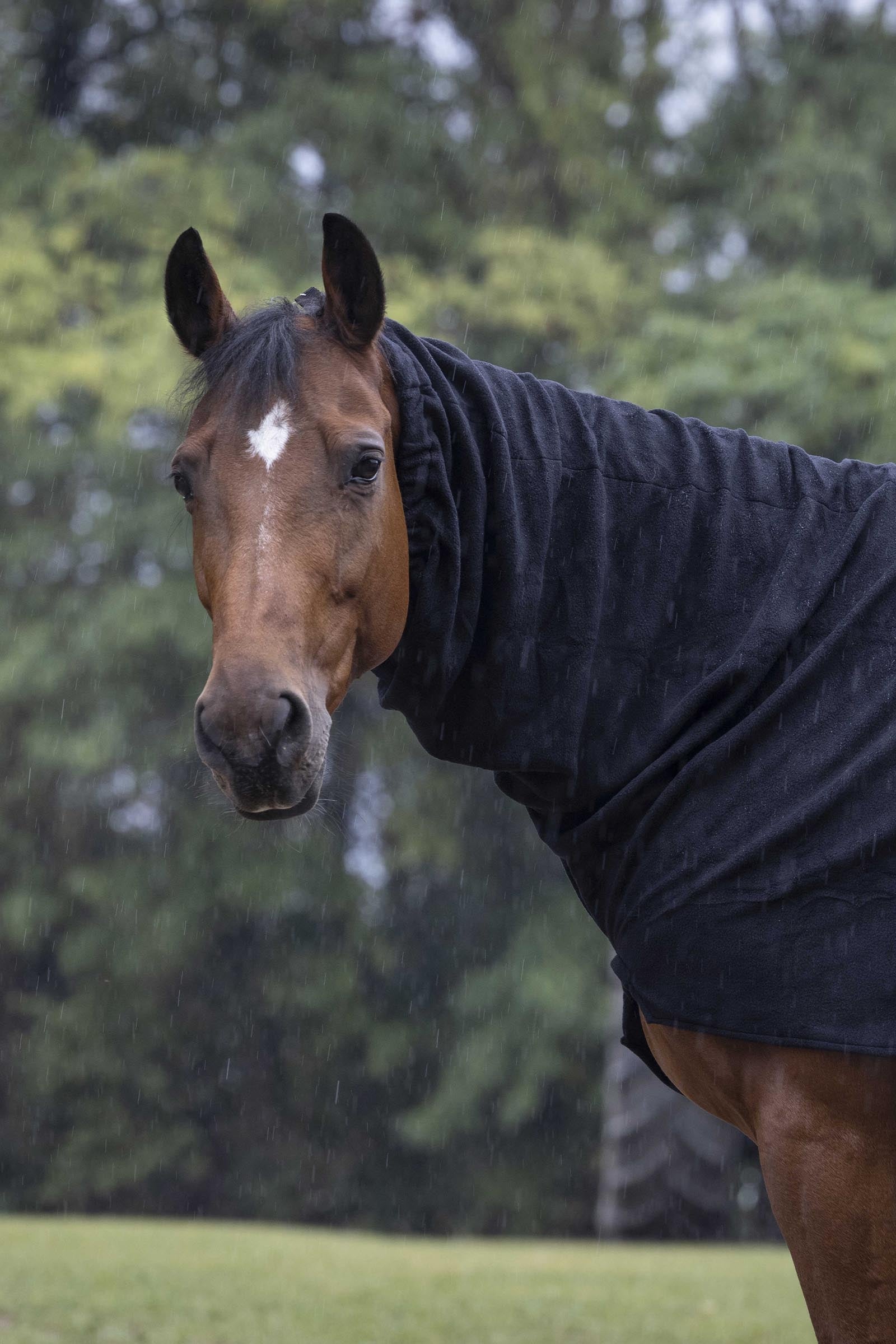 EQUITHÈME Polar Fleece halsdel Hästtäcken