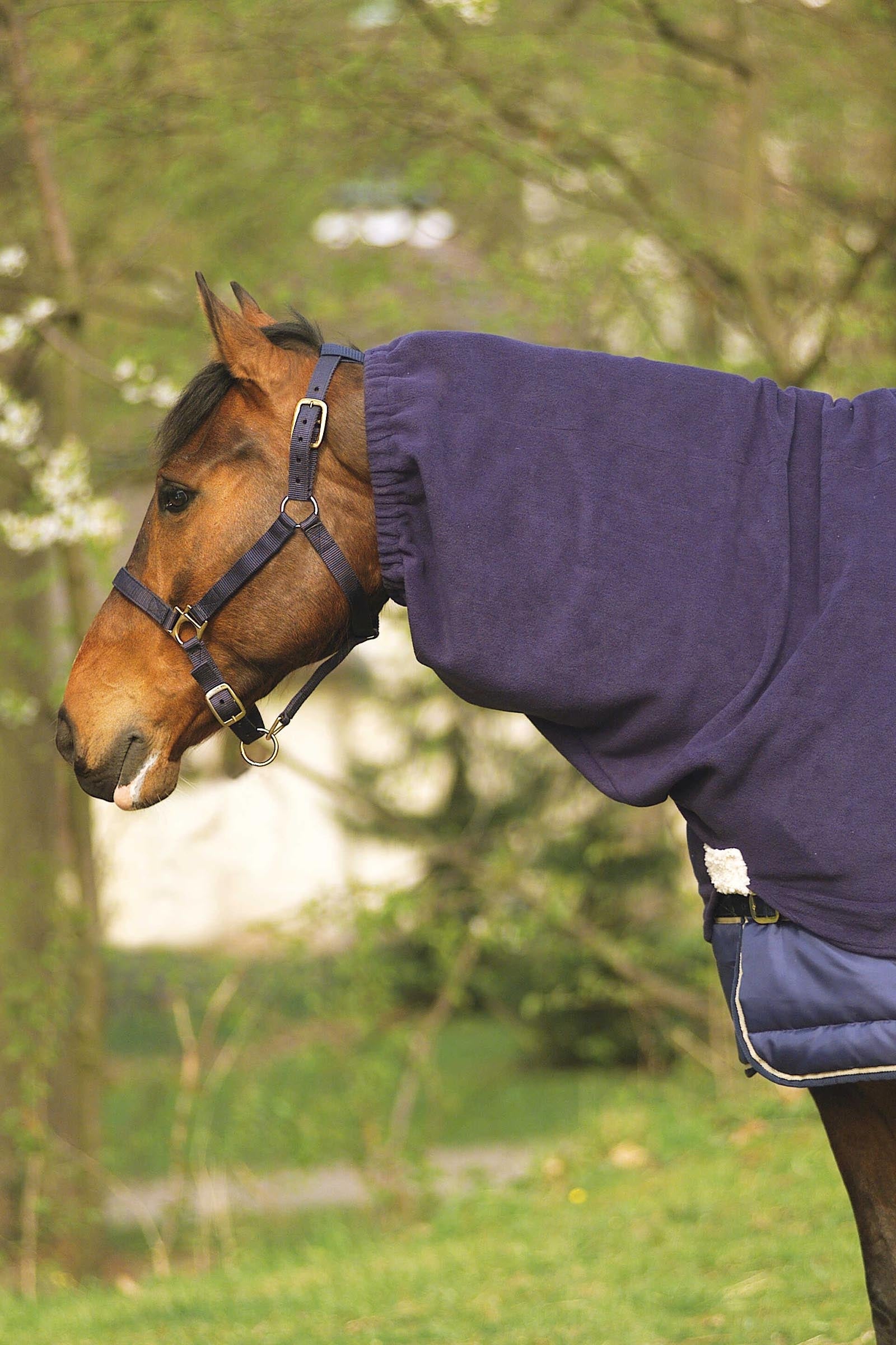 EQUITHÈME Polar Fleece halsdel Hästtäcken