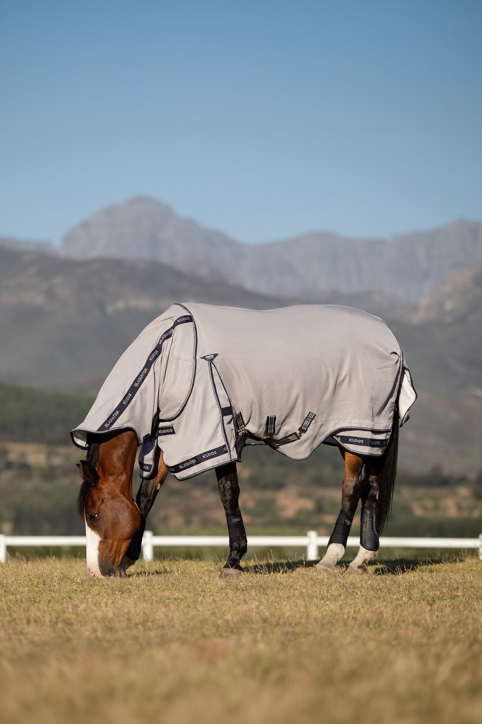 LeMieux Kudos Gladiator flugtäcke Hästtäcken