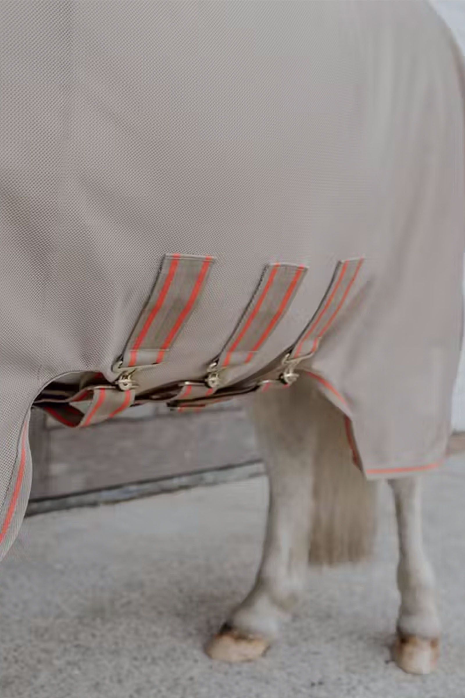 Kentucky Horsewear Mesh fly rug comfort Horse Rugs