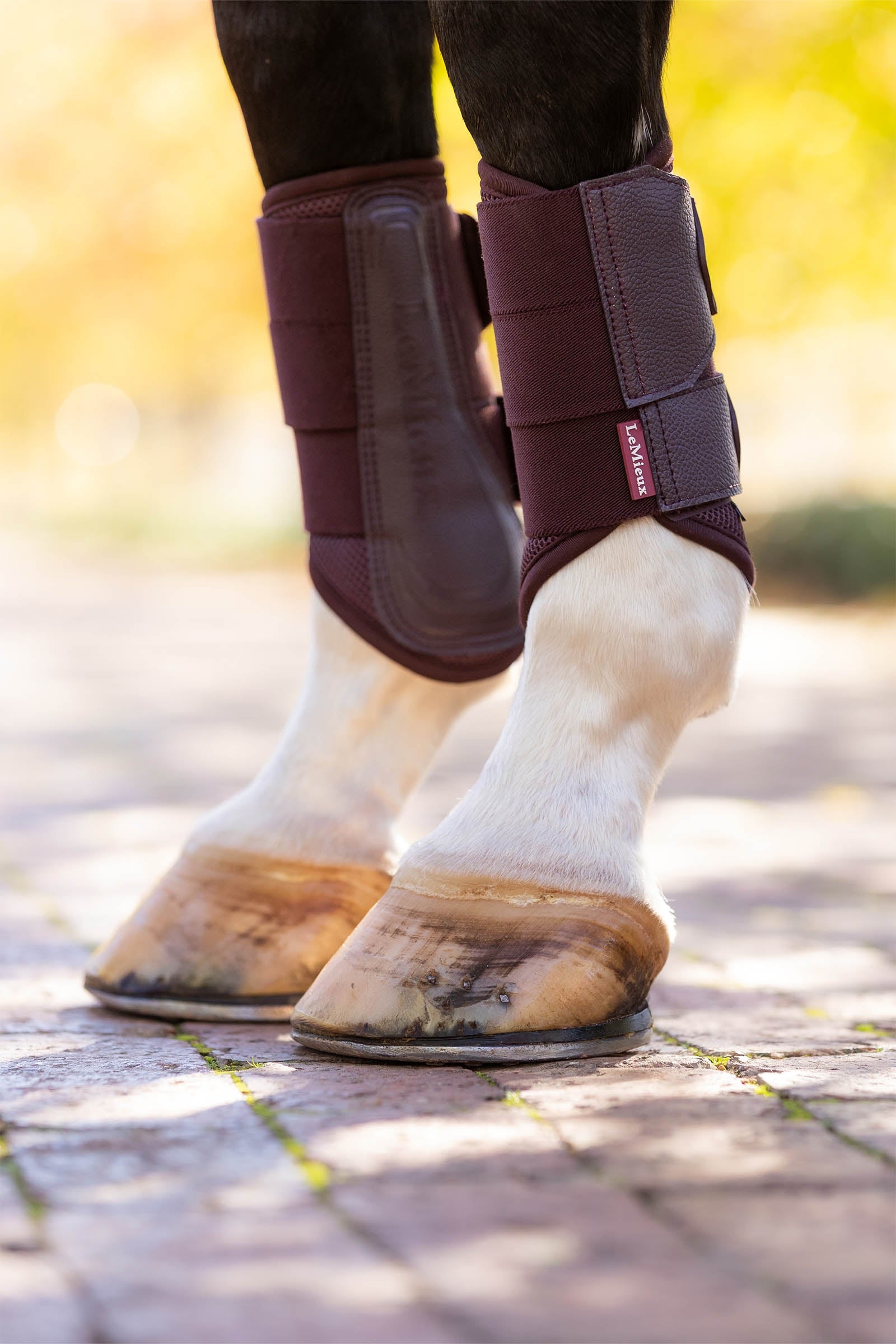 LeMieux Arika Mesh Brushing Boots Leg Protection & Hoof Protection for Horses
