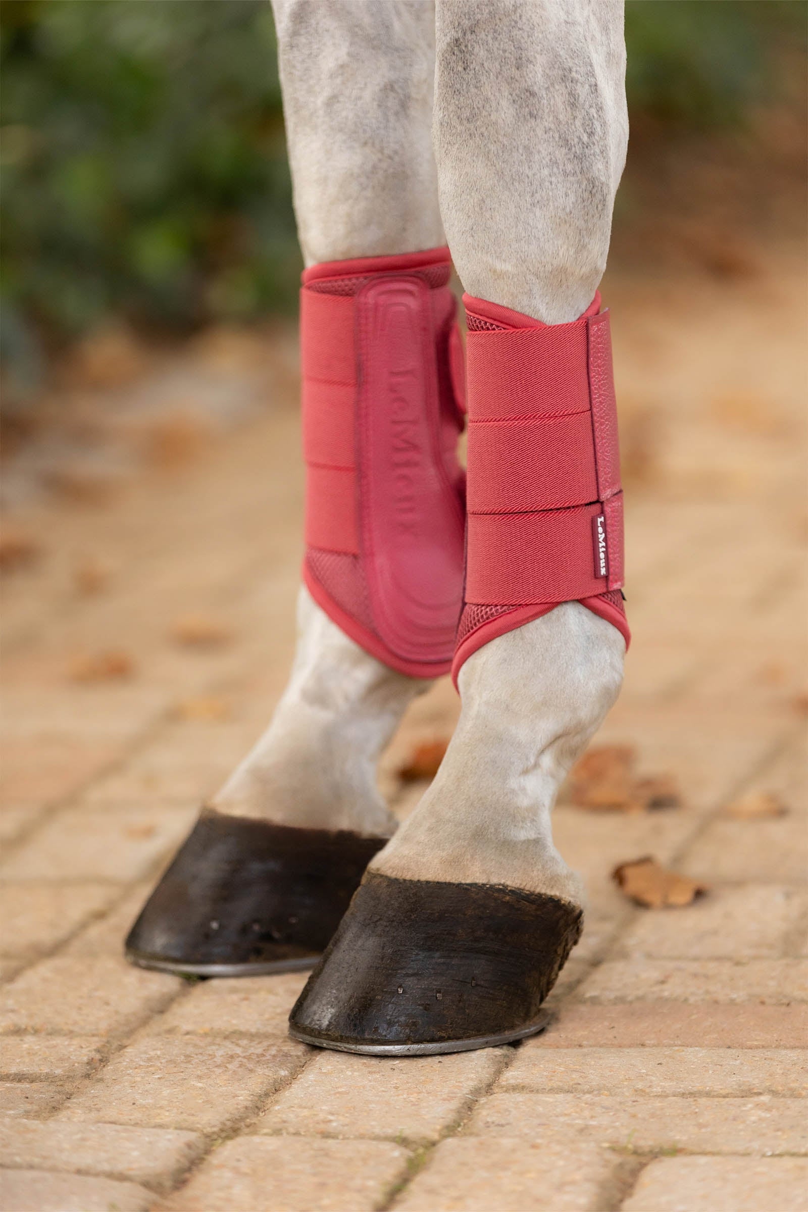 LeMieux Arika Mesh strykkappor Leg Protection & Hoof Protection for Horses