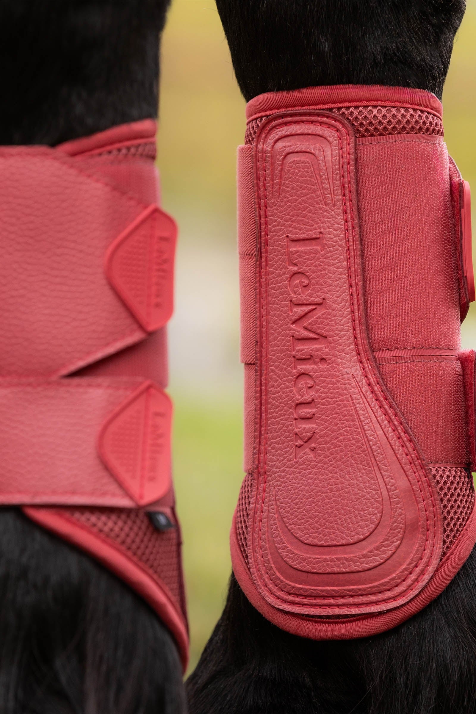 LeMieux Arika Mesh Brushing Boots Leg Protection & Hoof Protection for Horses