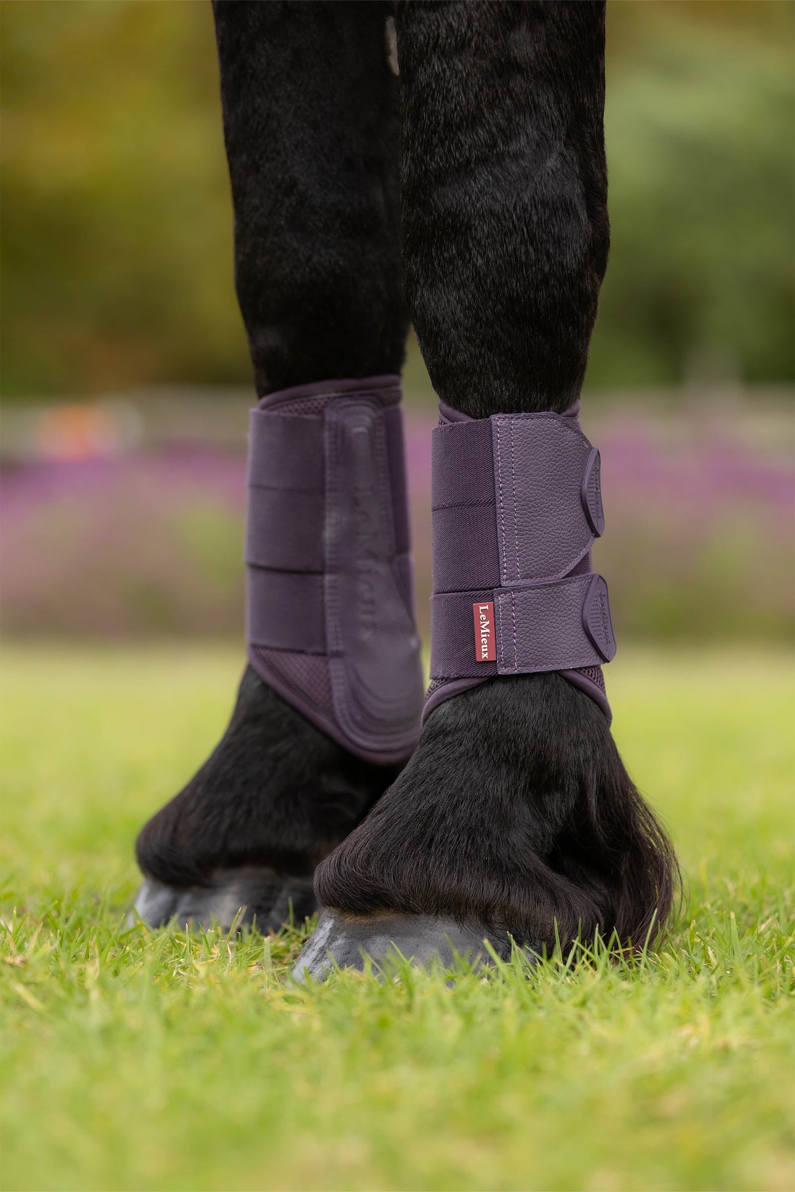 LeMieux Arika Mesh Brushing Boots Leg Protection & Hoof Protection for Horses