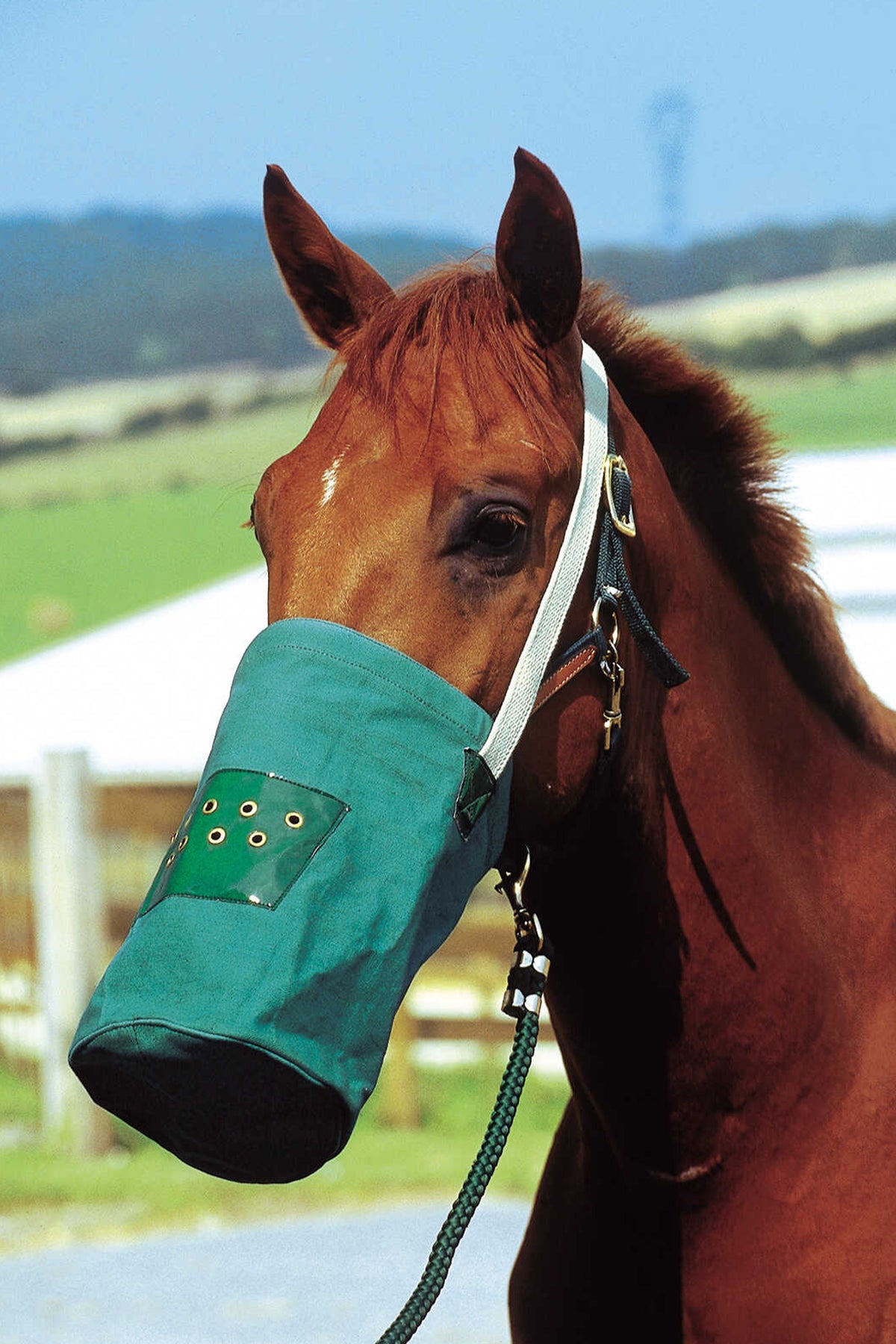 HIPPOTONIC Feed Bag, Canvas Horse Feeders & Waterers