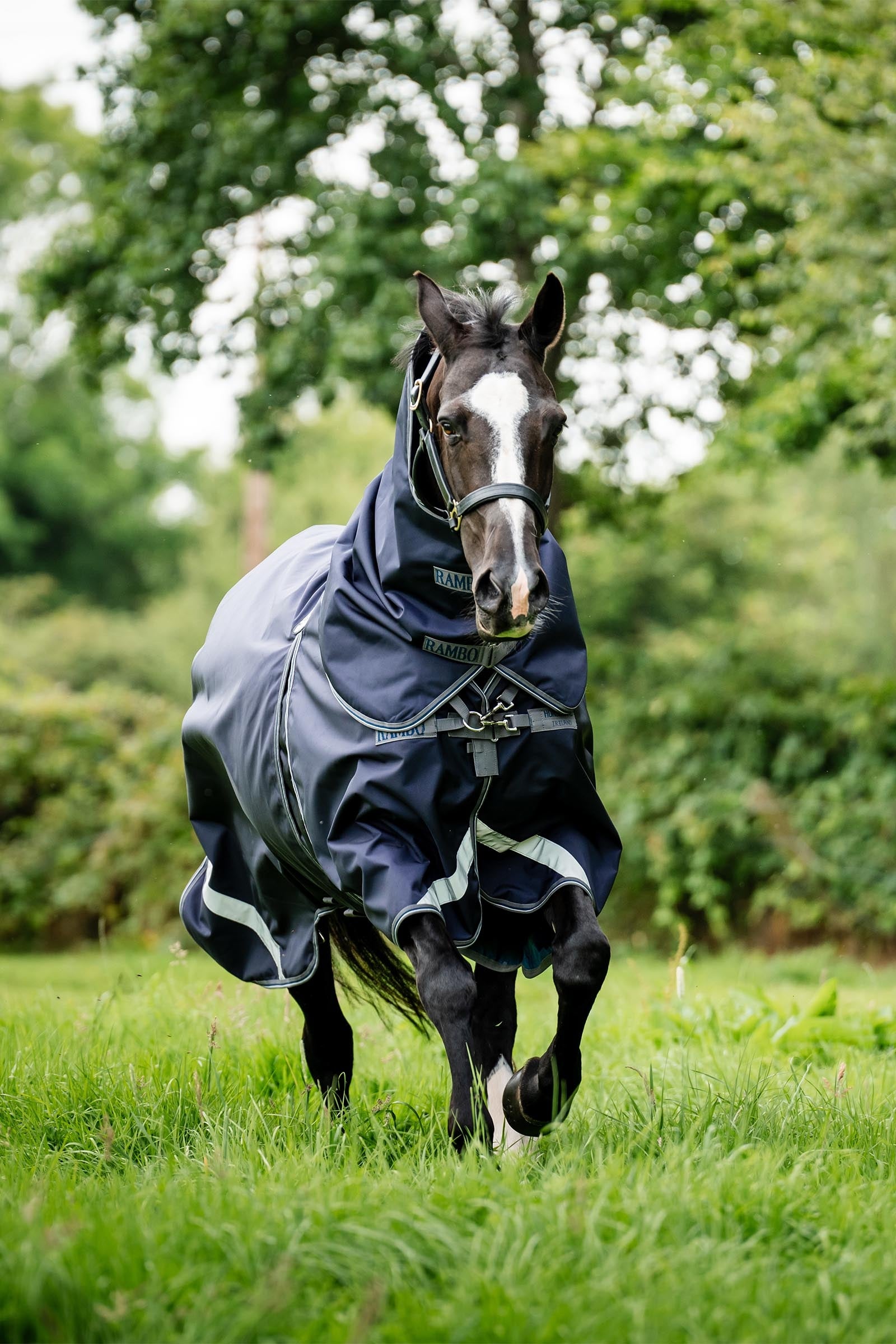 Horseware Rambo Optimo Plus Turnout Bundle (0g + 200g) Horse Rugs