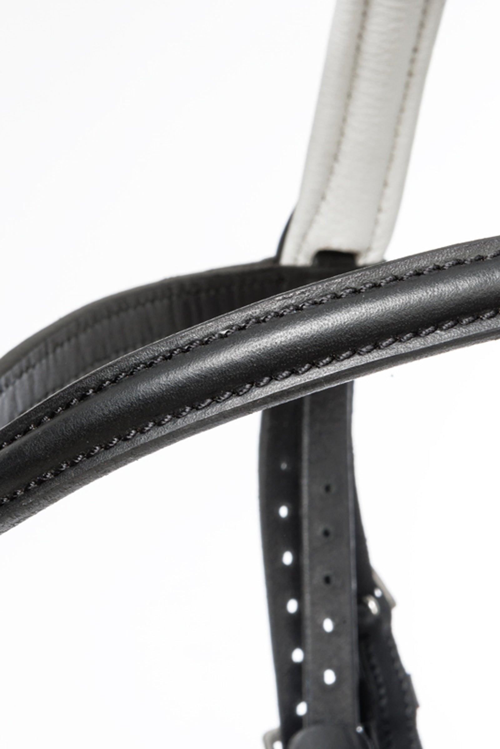 Kavalkade Bridle Quentin Ecoline, flash noseband Bridles & Reins