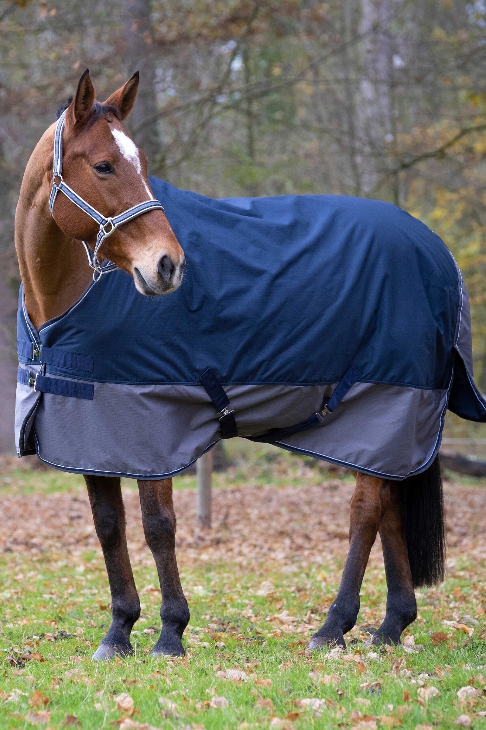 Equi Theme EQUITHÈME TYREX 600D Turnout Rug Horse Rugs