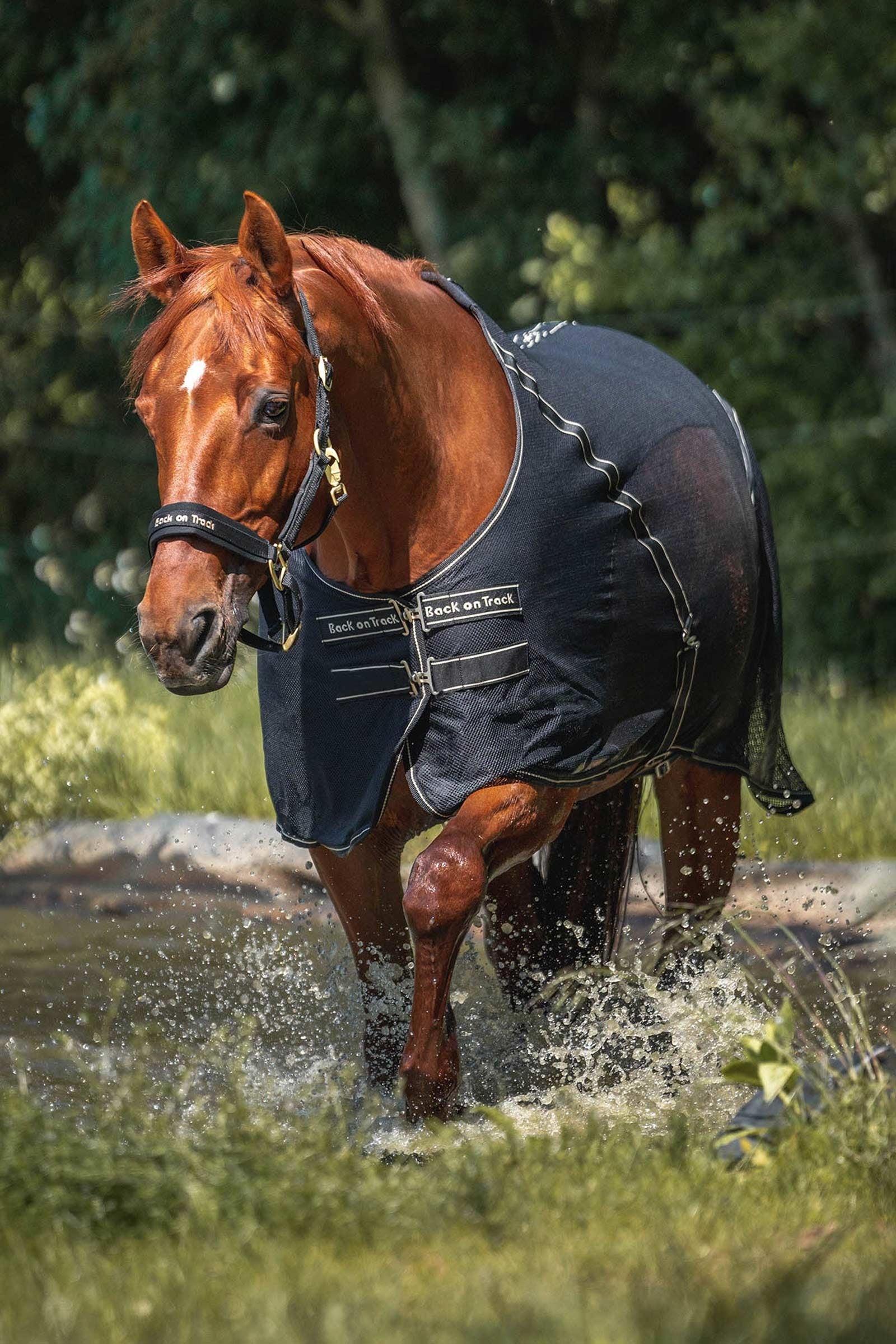 Back on Track Sienna Cooler Horse Rugs