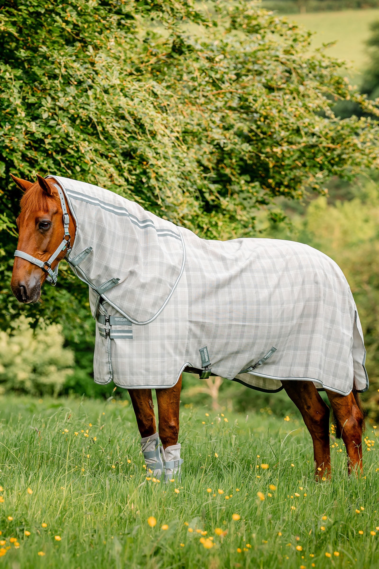 Horseware Newmarket Plus Flugtäcke Hästtäcken