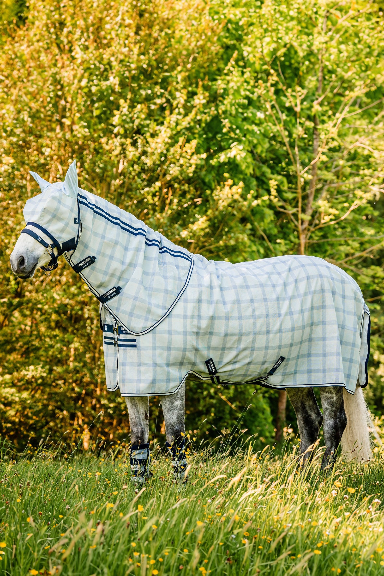 Horseware Newmarket Plus Flugtäcke Hästtäcken