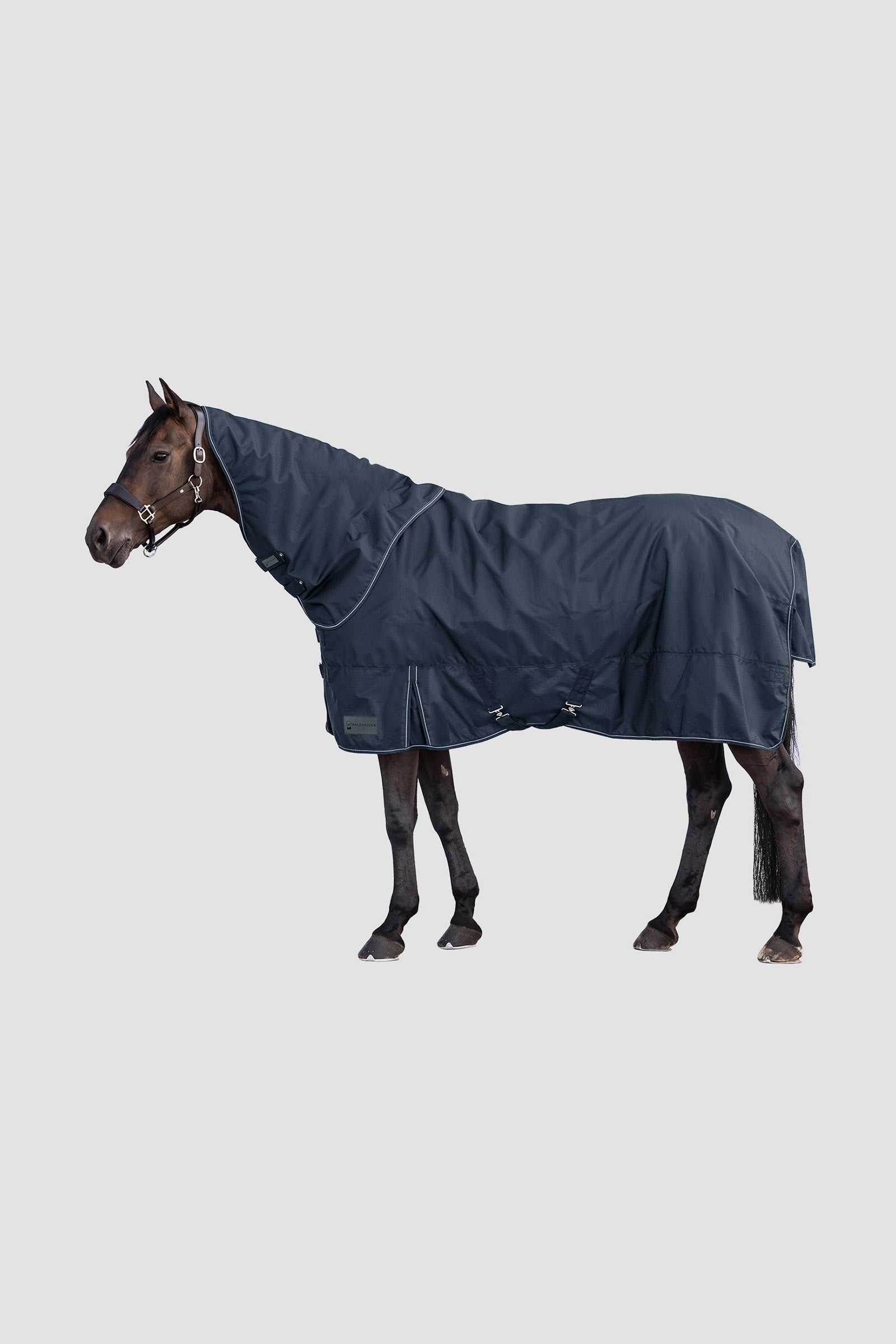 Waldhausen 600D Outdoor Neck Rug, 0 g Horse Rugs