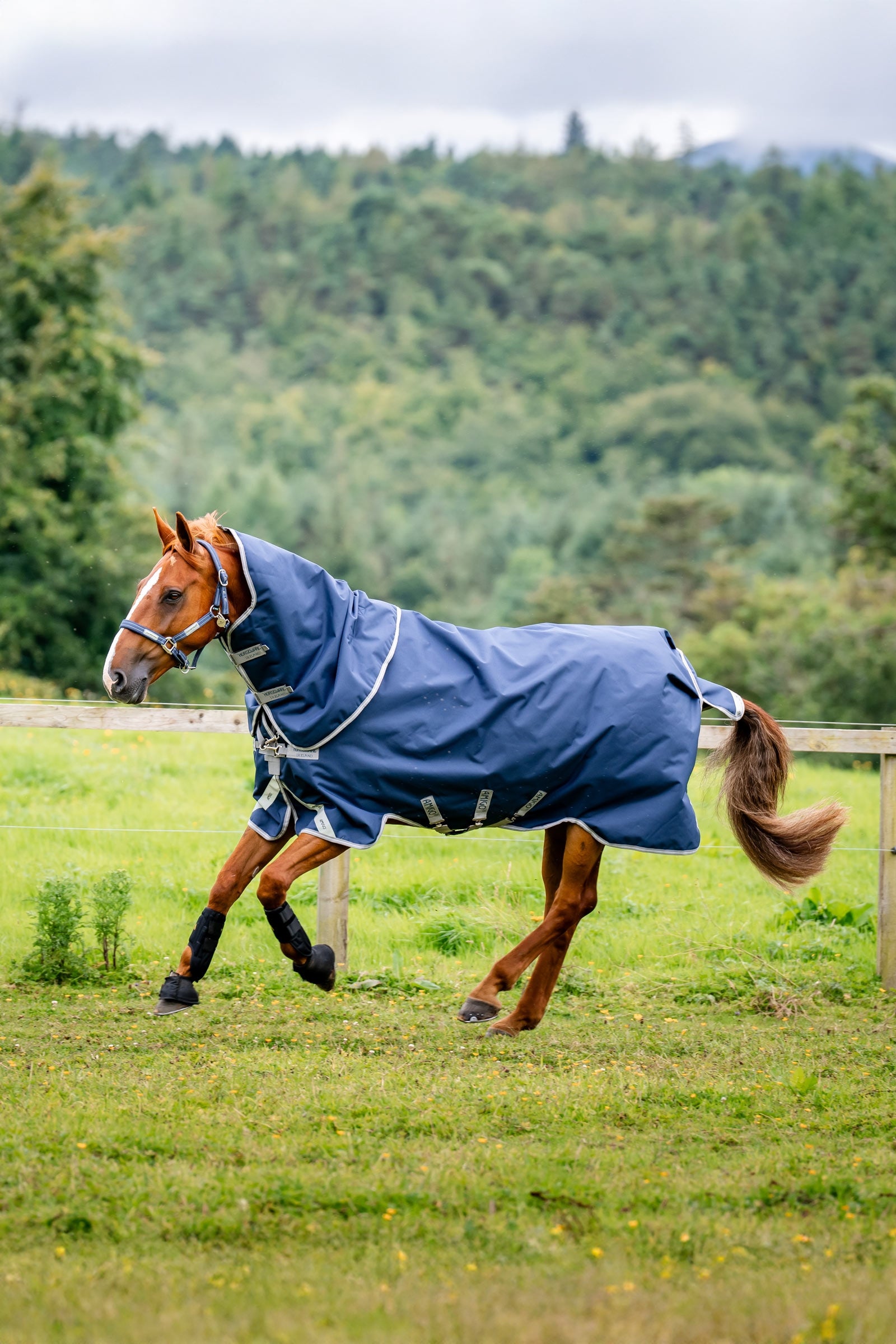 Horseware Amigo 1200D Plus utetäcke, 50 g Hästtäcken