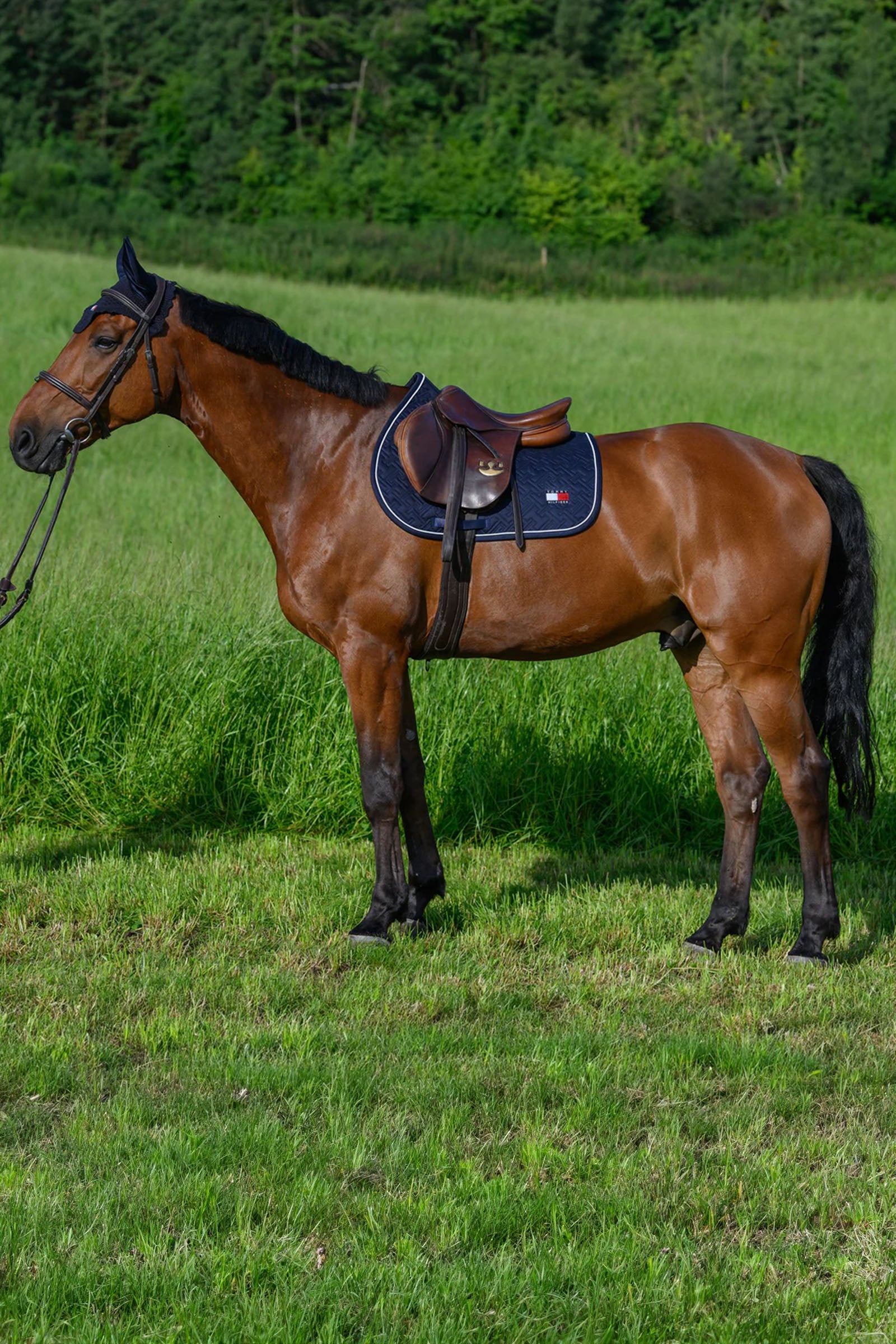 Tommy Hilfiger Equestrian Harvard Jumping Saddlepad Saddle Pads