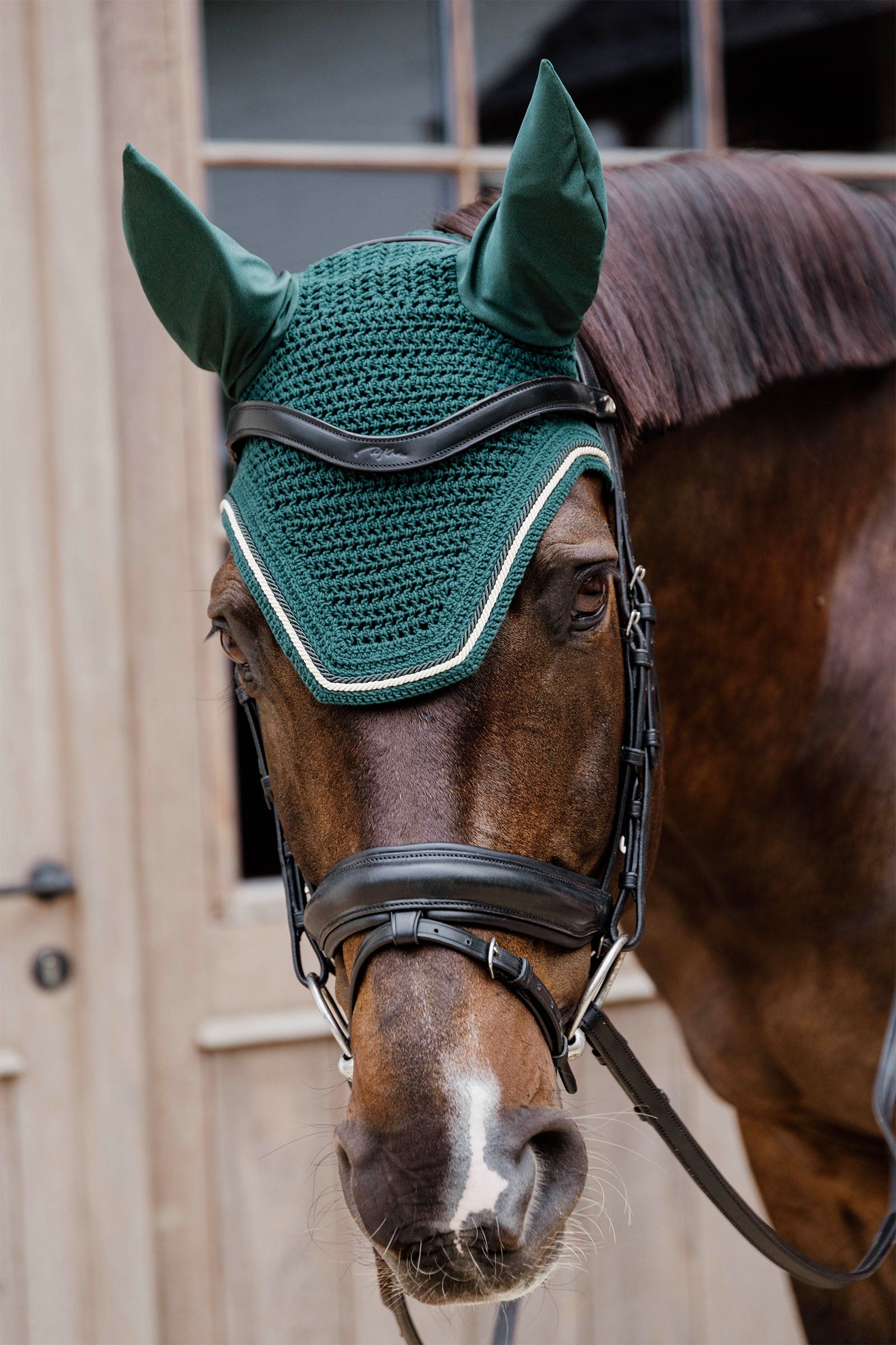 Kentucky Horsewear Fly veil Wellington diamond rope Soundless Saddle Pads