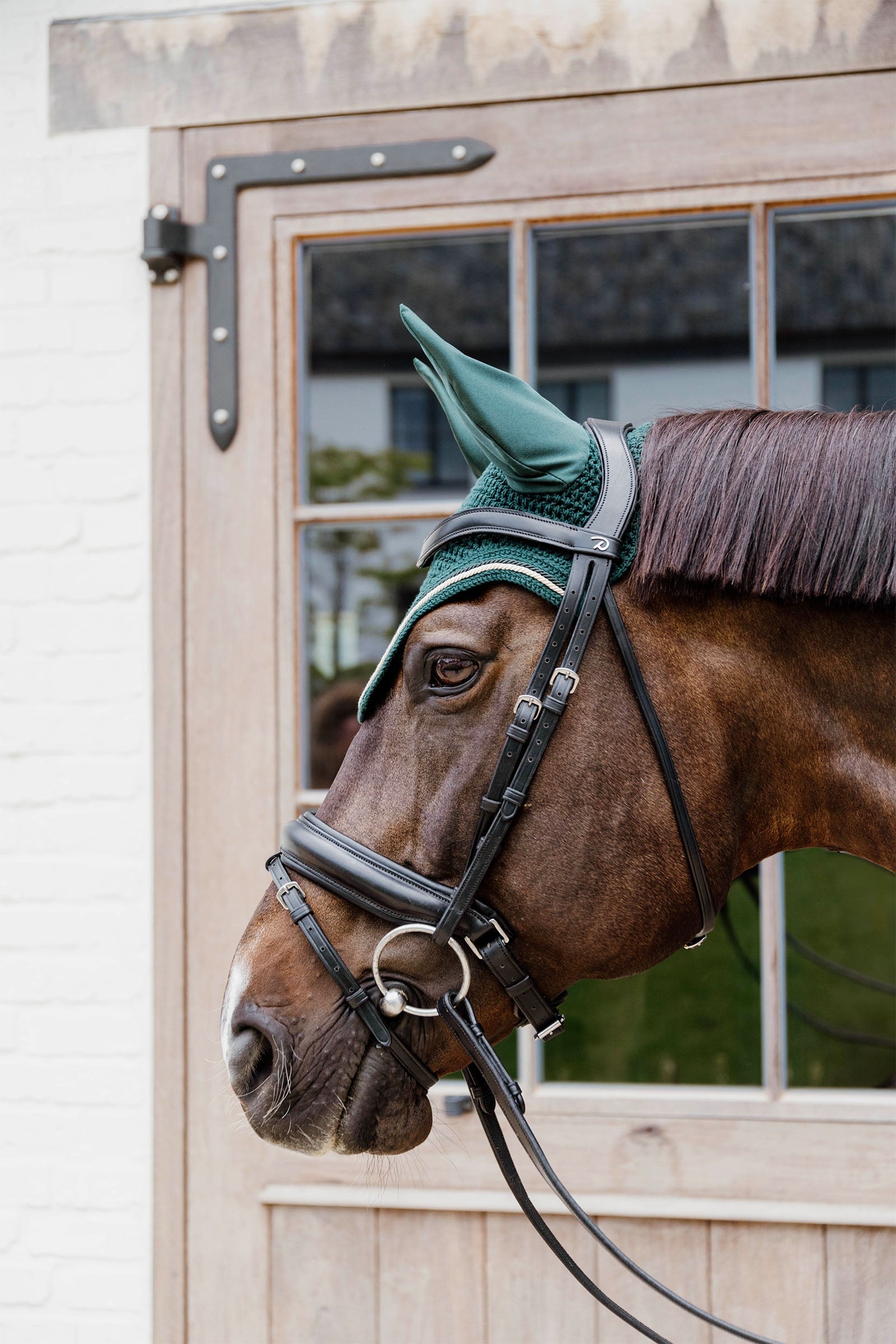 Kentucky Horsewear Fly veil Wellington diamond rope Soundless Saddle Pads