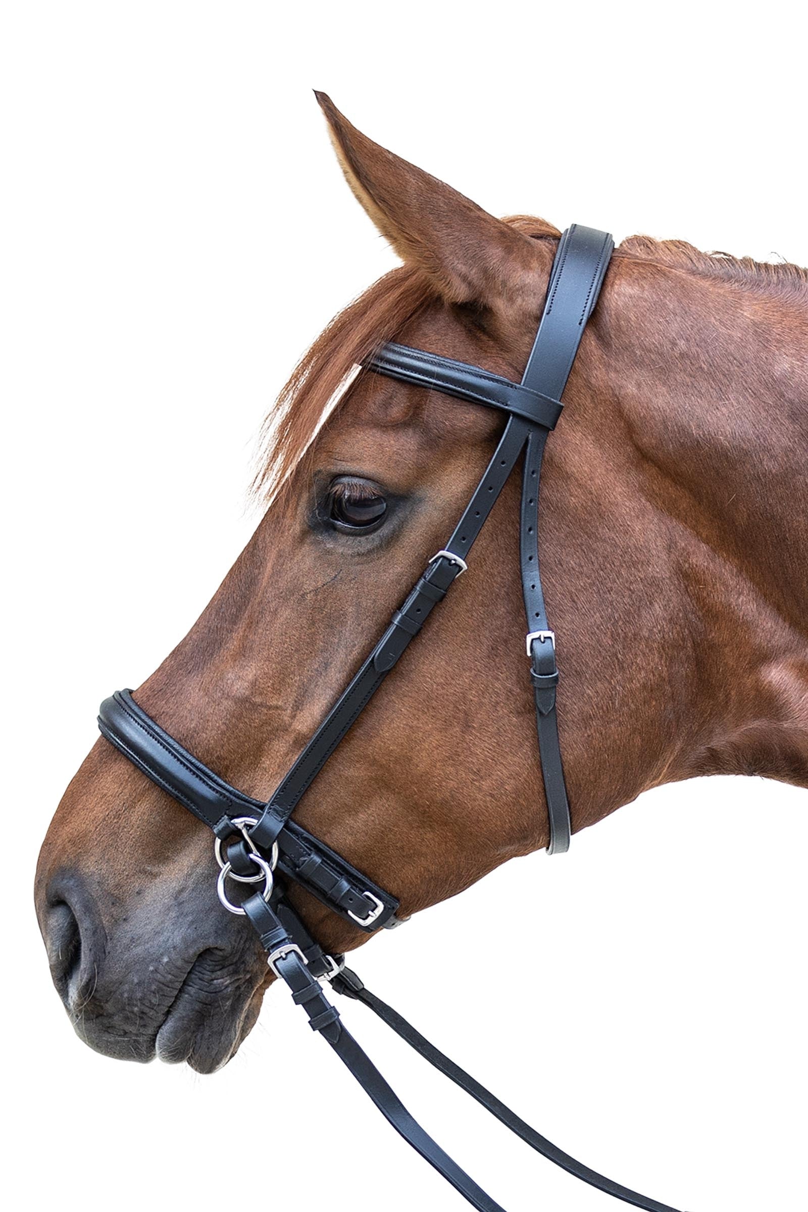 Waldhausen STAR Bitless Bridle Bridles & Reins
