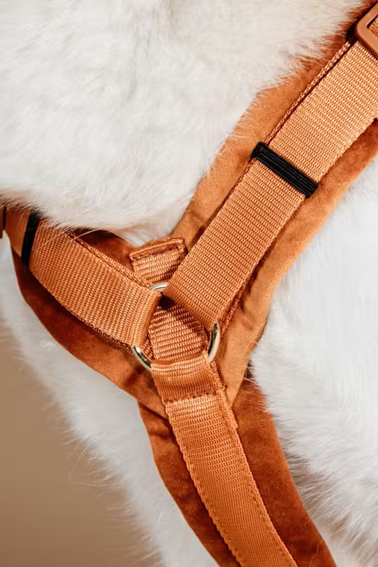 Kentucky Dogwear Active Velvet Dog Harness Dog Accesories