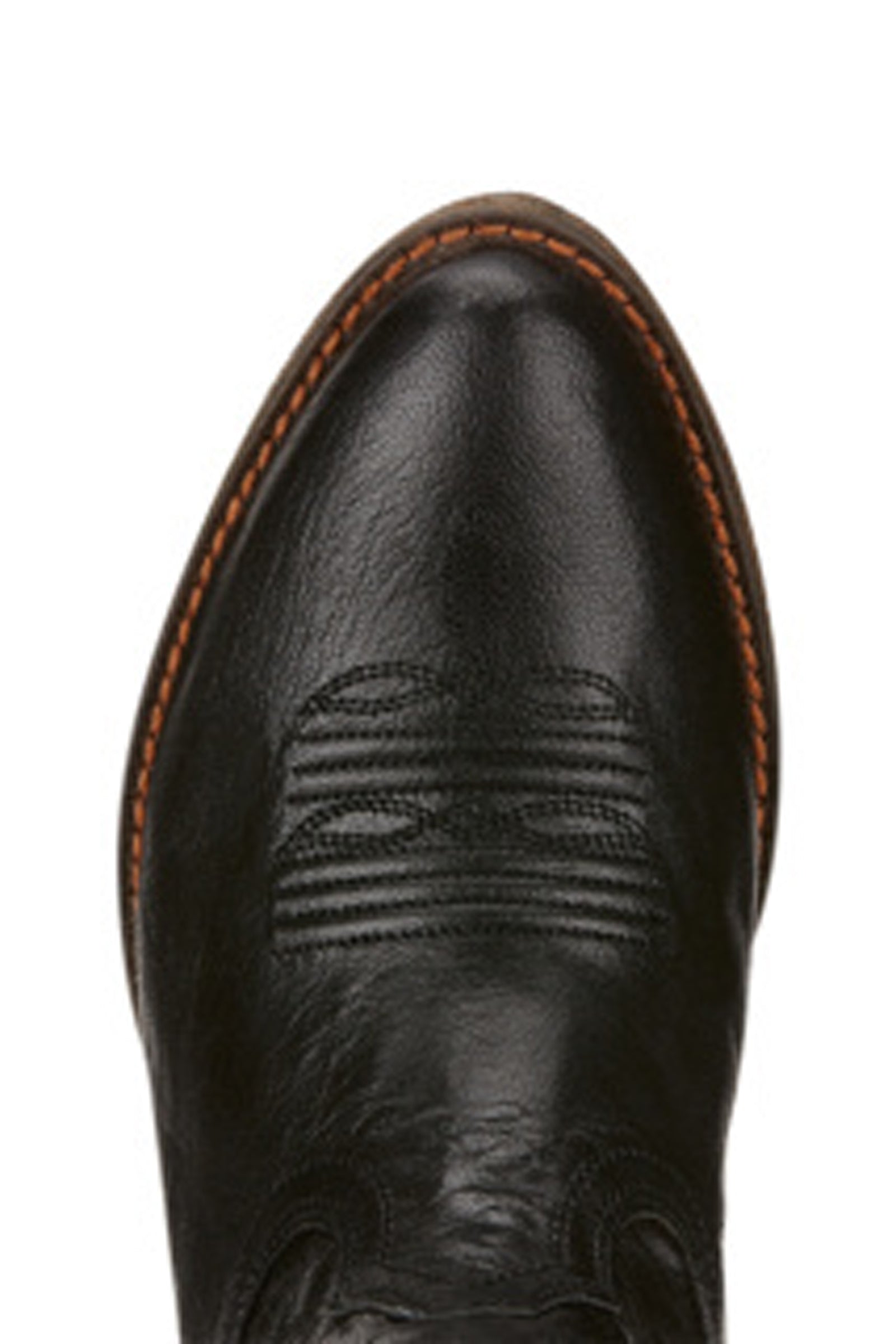 Ariat Darlin Women's Short Western Boots Riding Boots & Riding Shoes