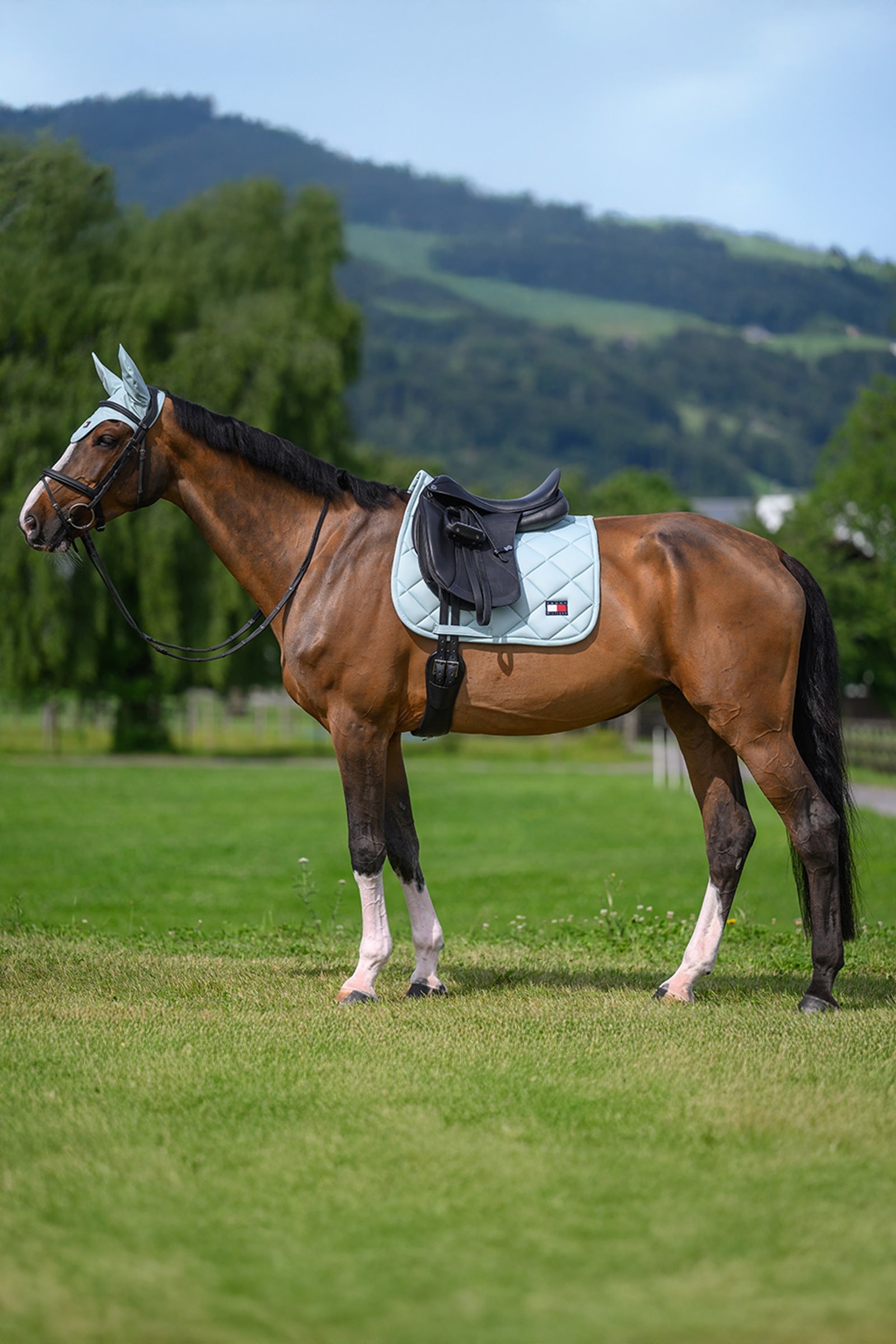 Tommy Hilfiger Equestrian Columbia Dressage Saddle Pad Saddle Pads