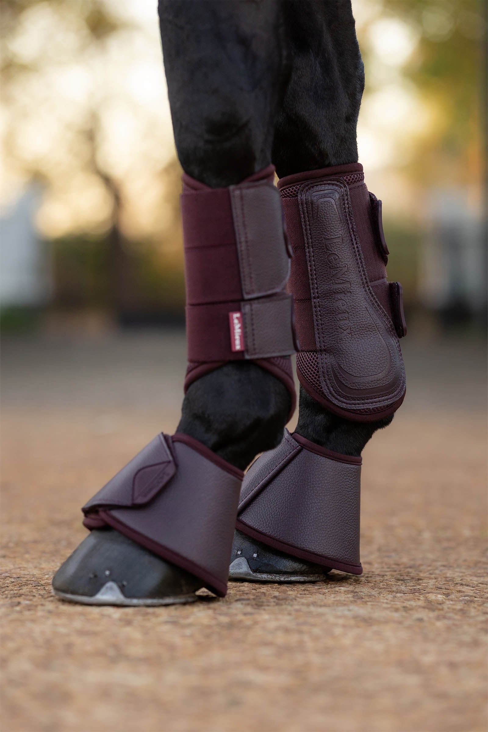LeMieux Arika Over Reach Boots Leg Protection & Hoof Protection for Horses