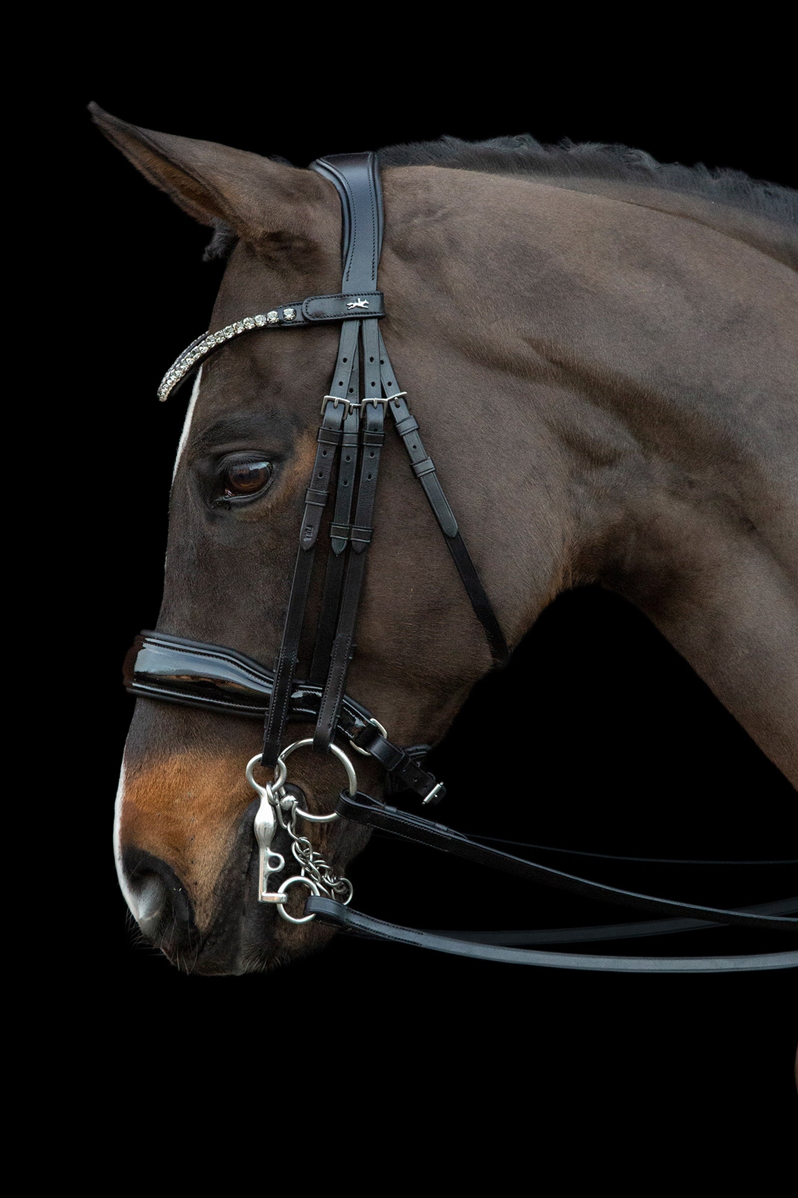 Schockemöhle Sports Milazzo Double Bridle Bridles & Reins