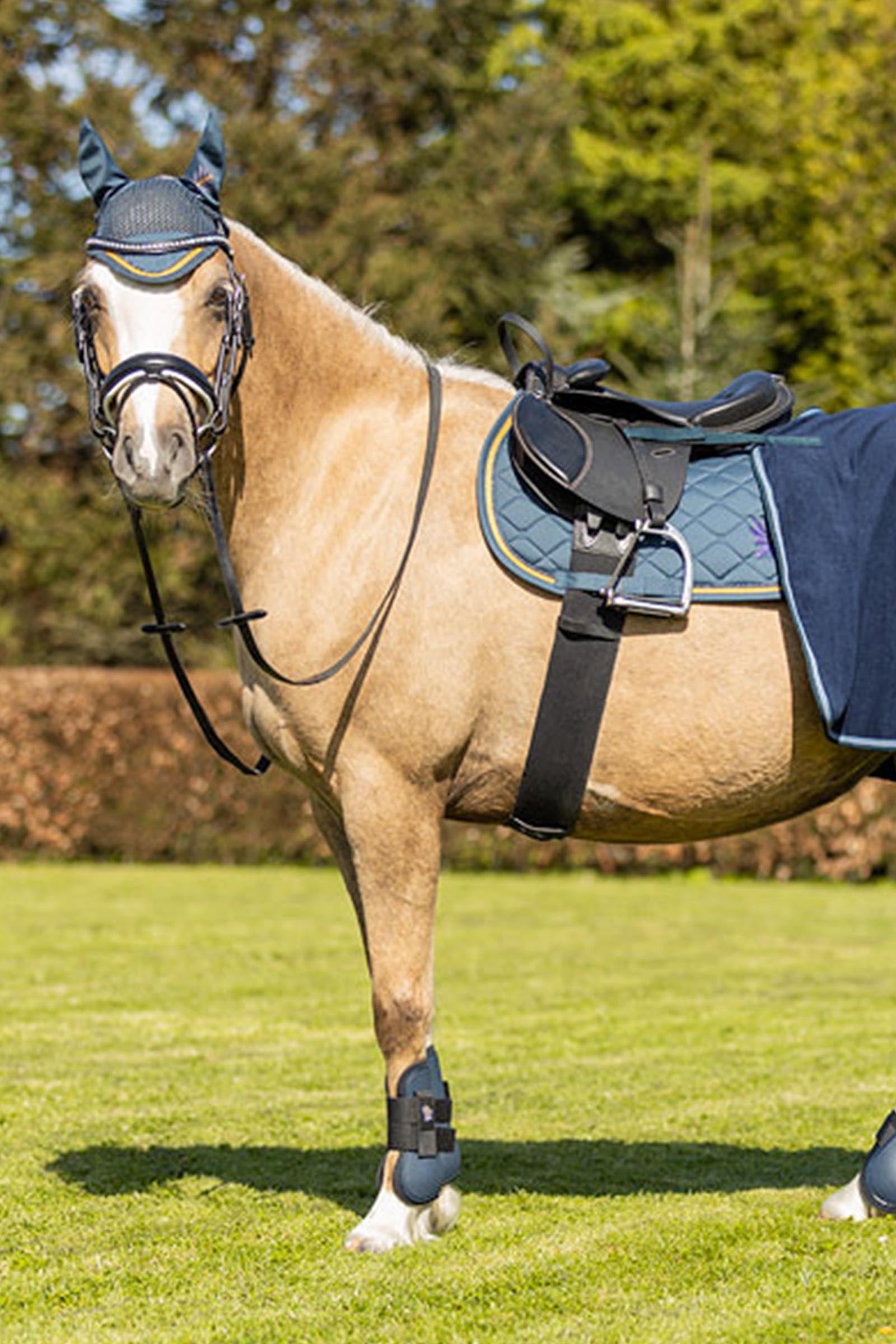 BR Pony Tendon Boots Leg Protection & Hoof Protection for Horses