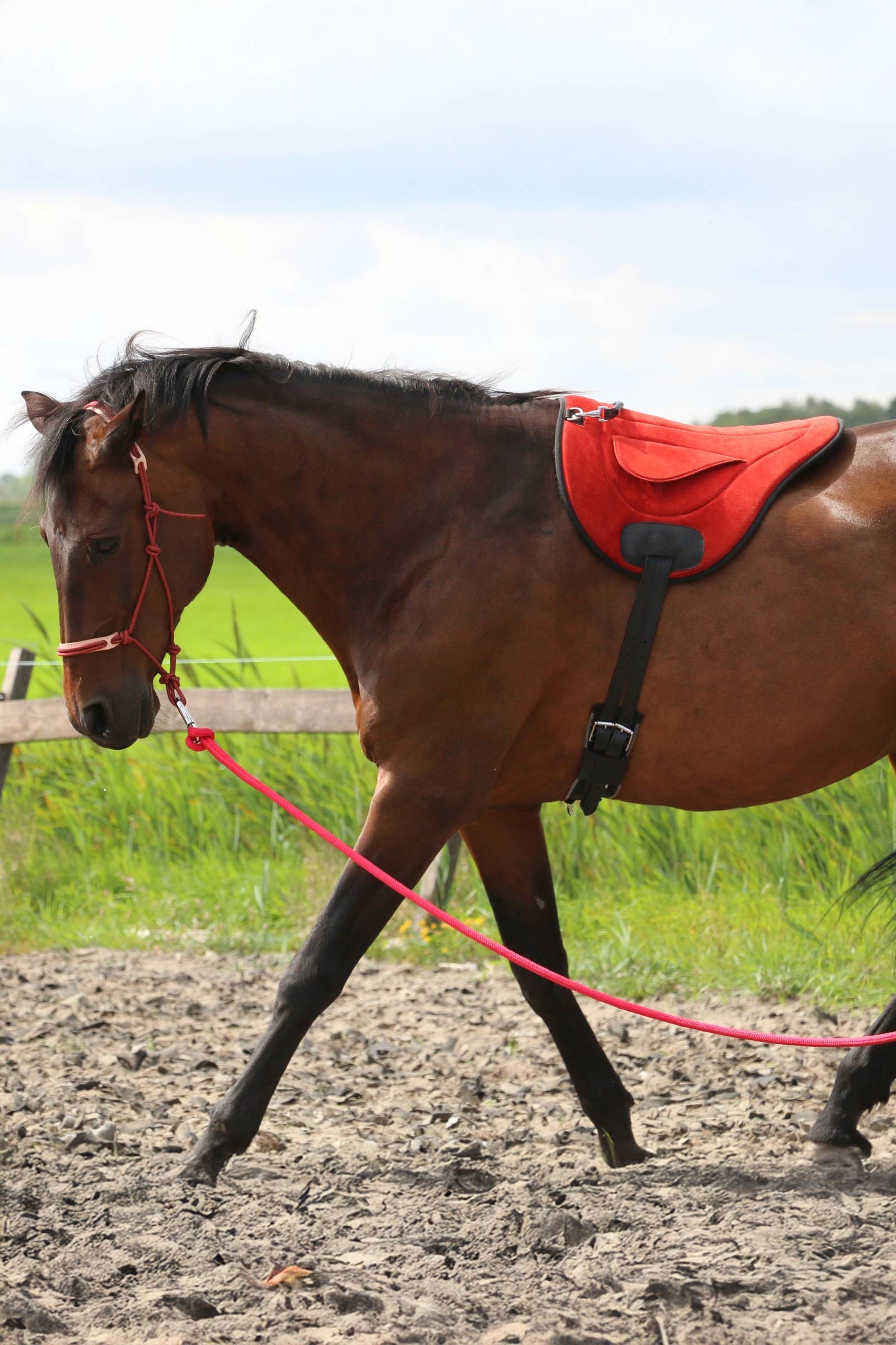 F.R.A. Freedom Riding Articles Chico Bareback Pad, Nubuck Leather Saddles, Girths & Stirrups
