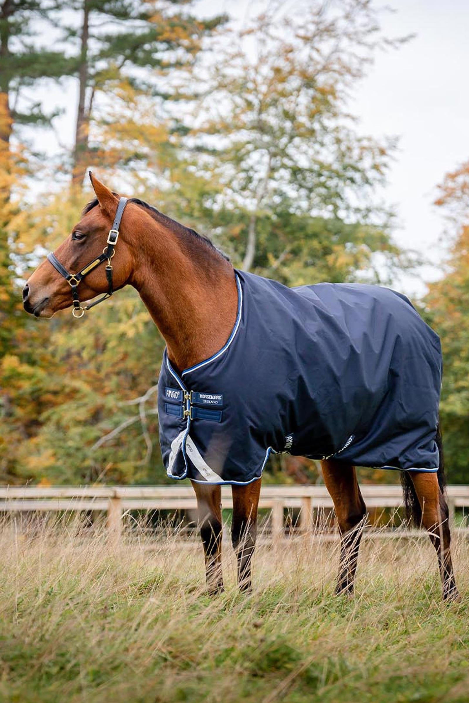 Horseware Amigo Bravo 12 Original Turnout Rug, 250g Horse Rugs