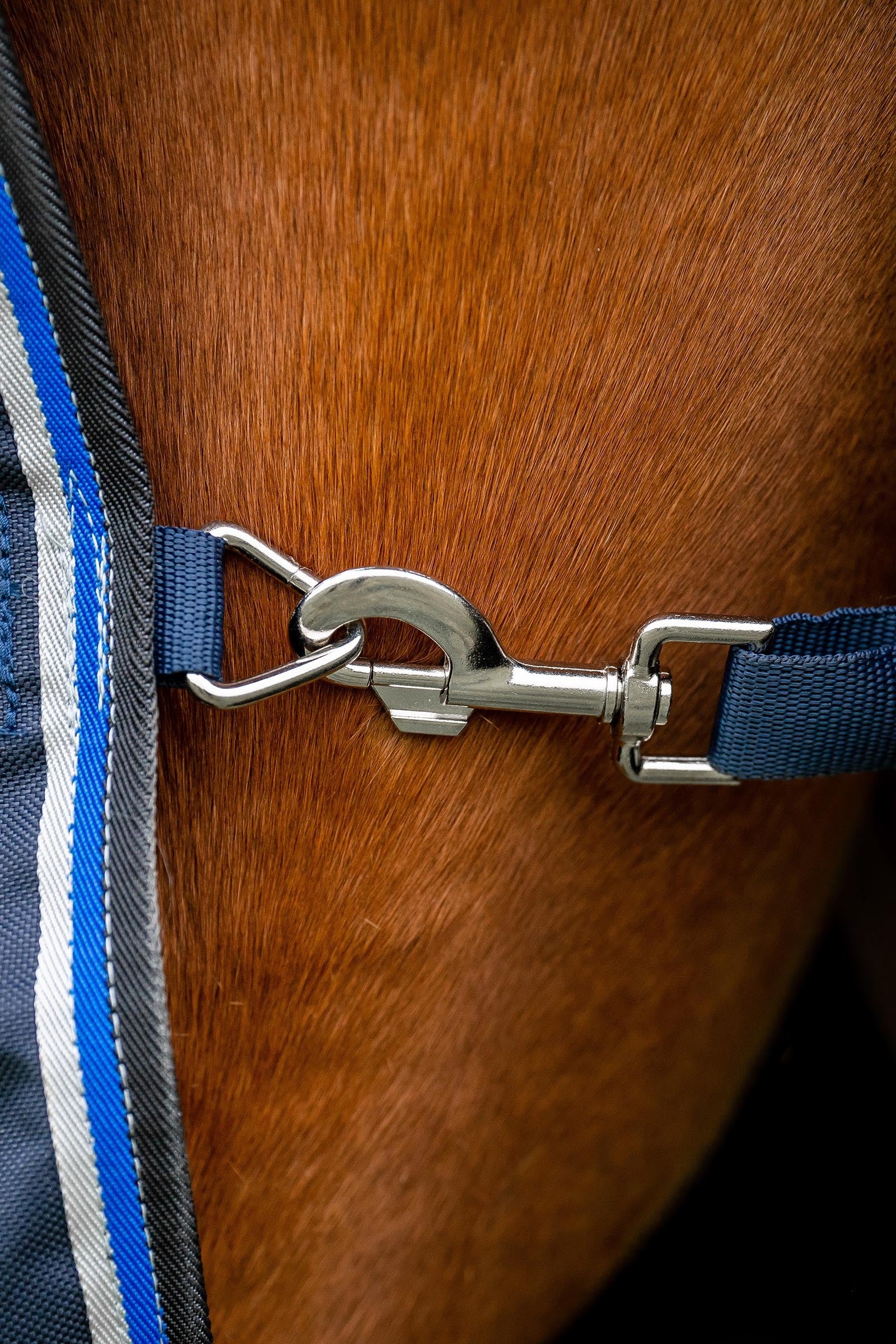 Horseware Amigo Bravo 12 Original Turnout Rug, 250g Horse Rugs