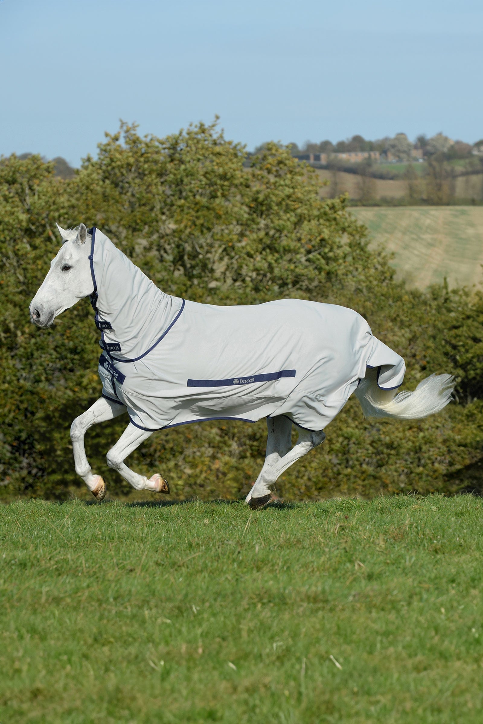 Bucas Sweet-Itch Rug wit Fixed Neck Horse Rugs